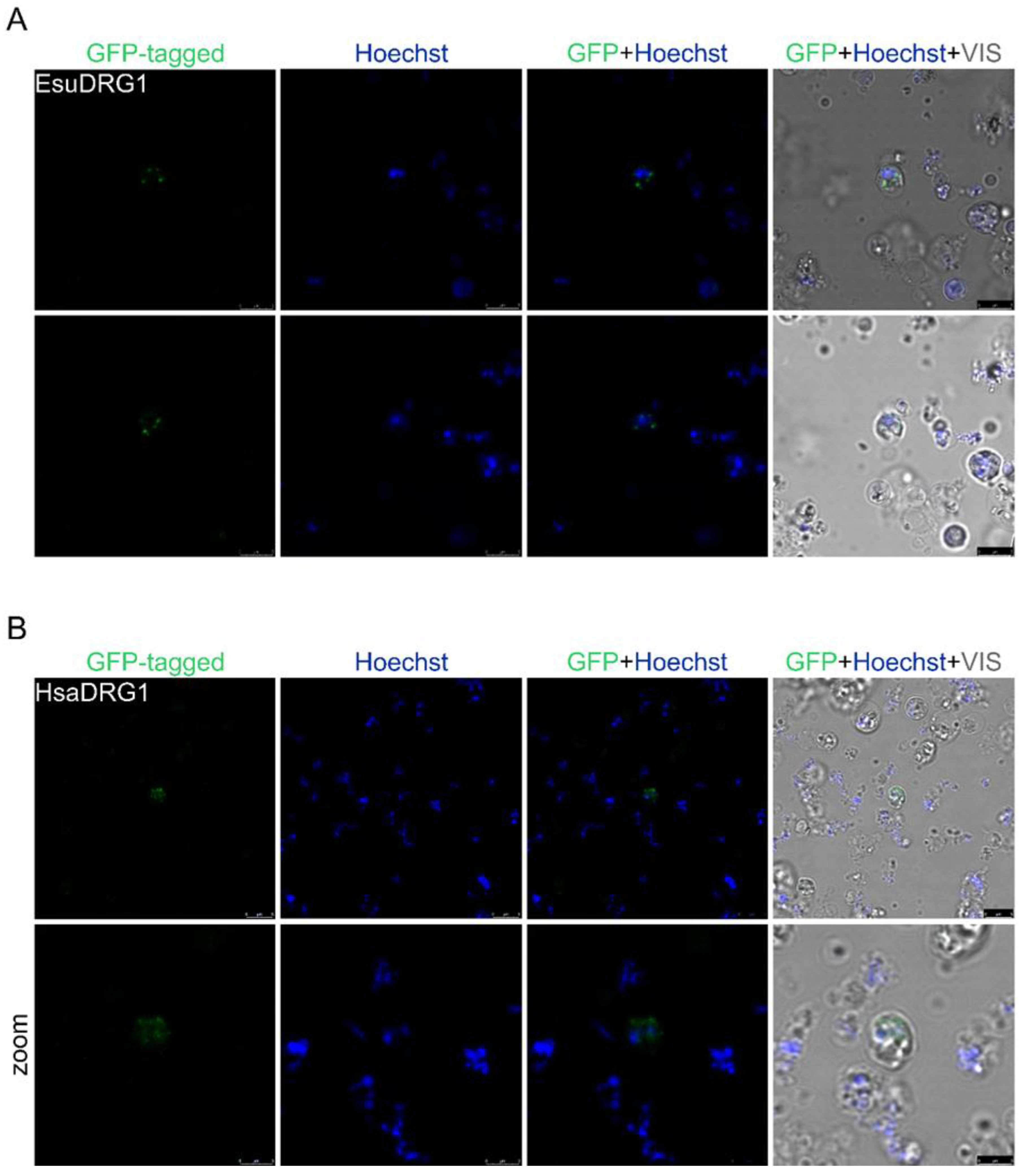 Marinedrugs 21 00119 g011
