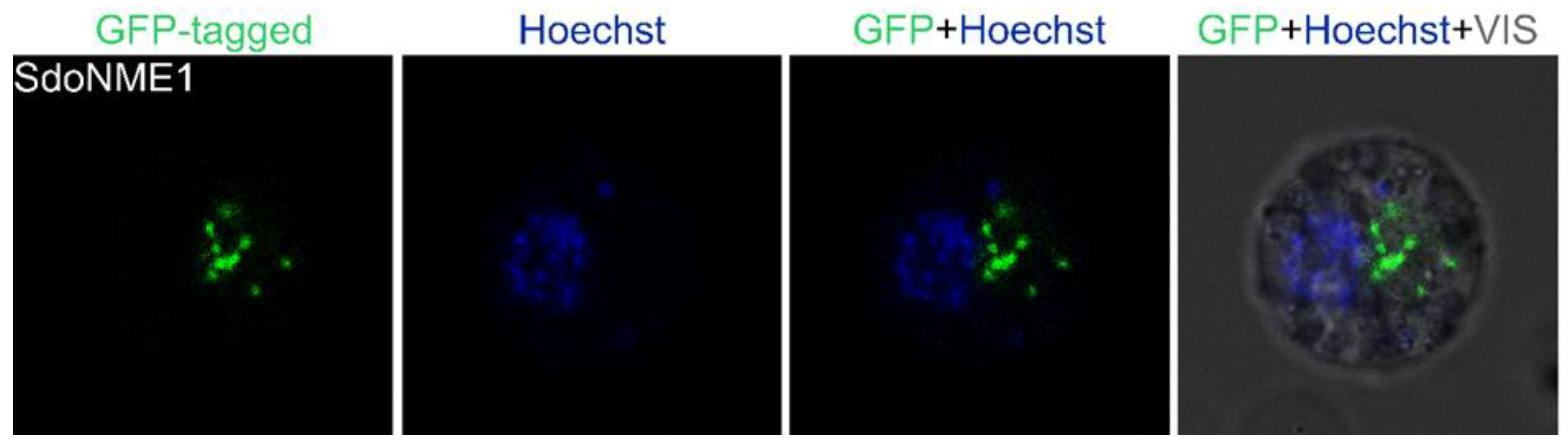 Marinedrugs 21 00119 g0a1