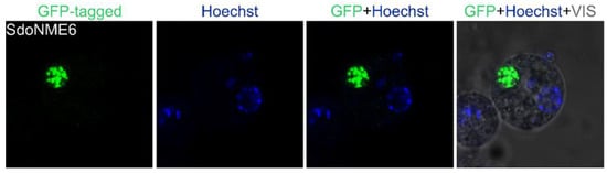 Marinedrugs 21 00119 g0a2