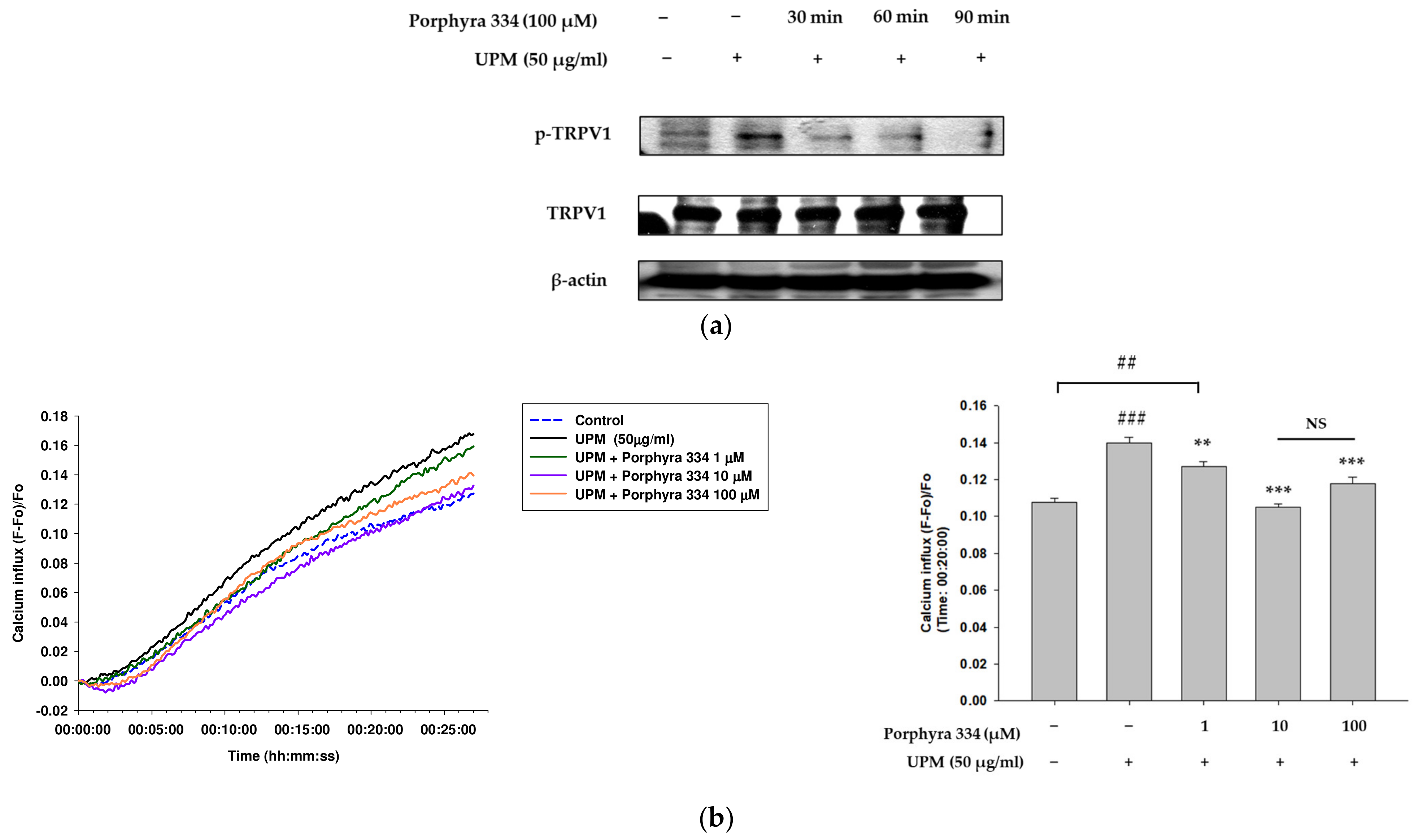 Marinedrugs 21 00121 g005
