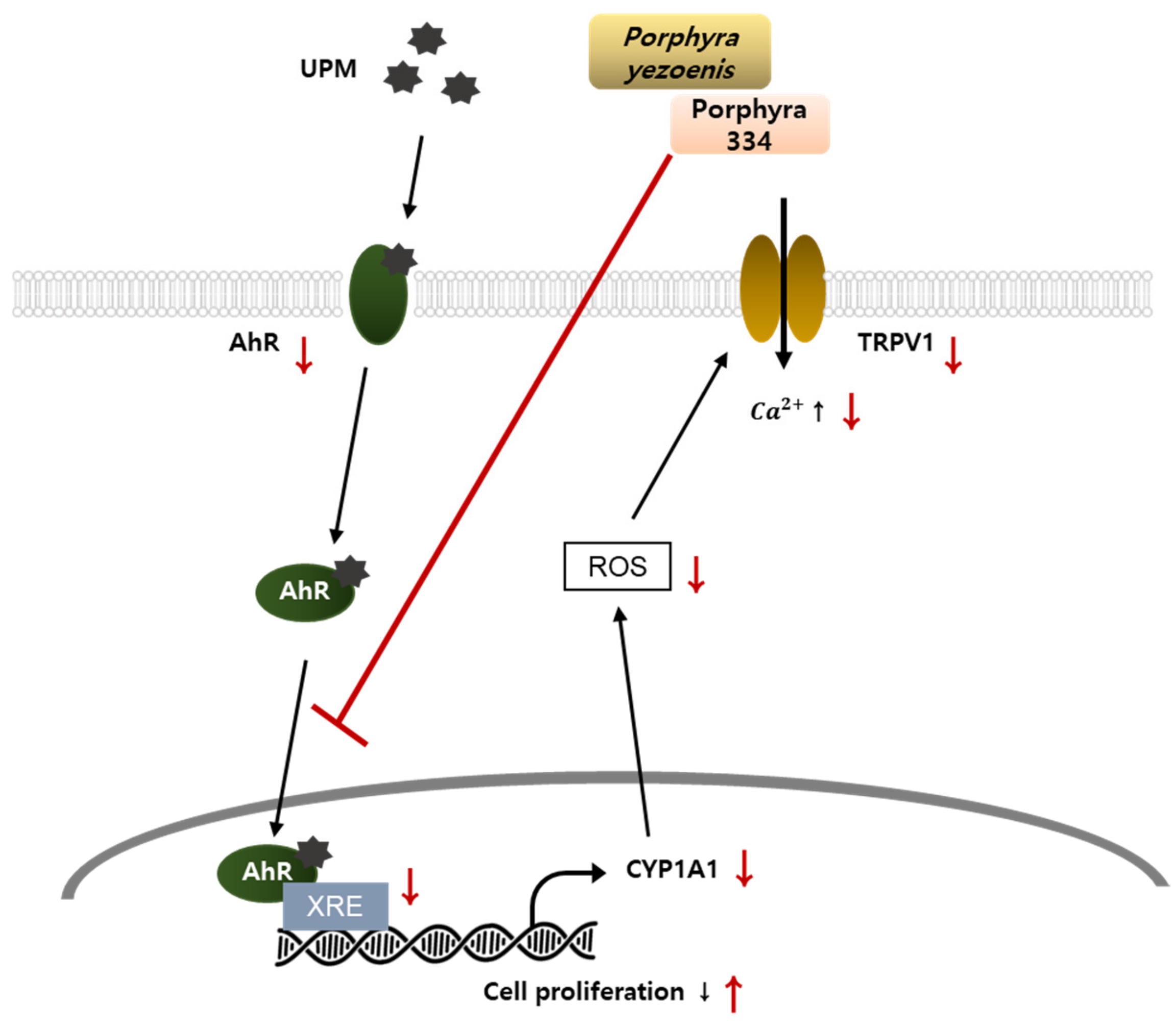 Marinedrugs 21 00121 g006
