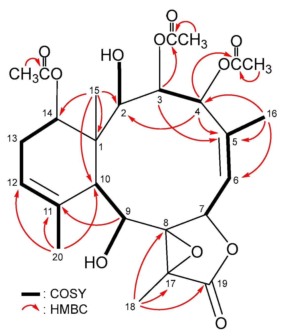 Marinedrugs 21 00124 g006