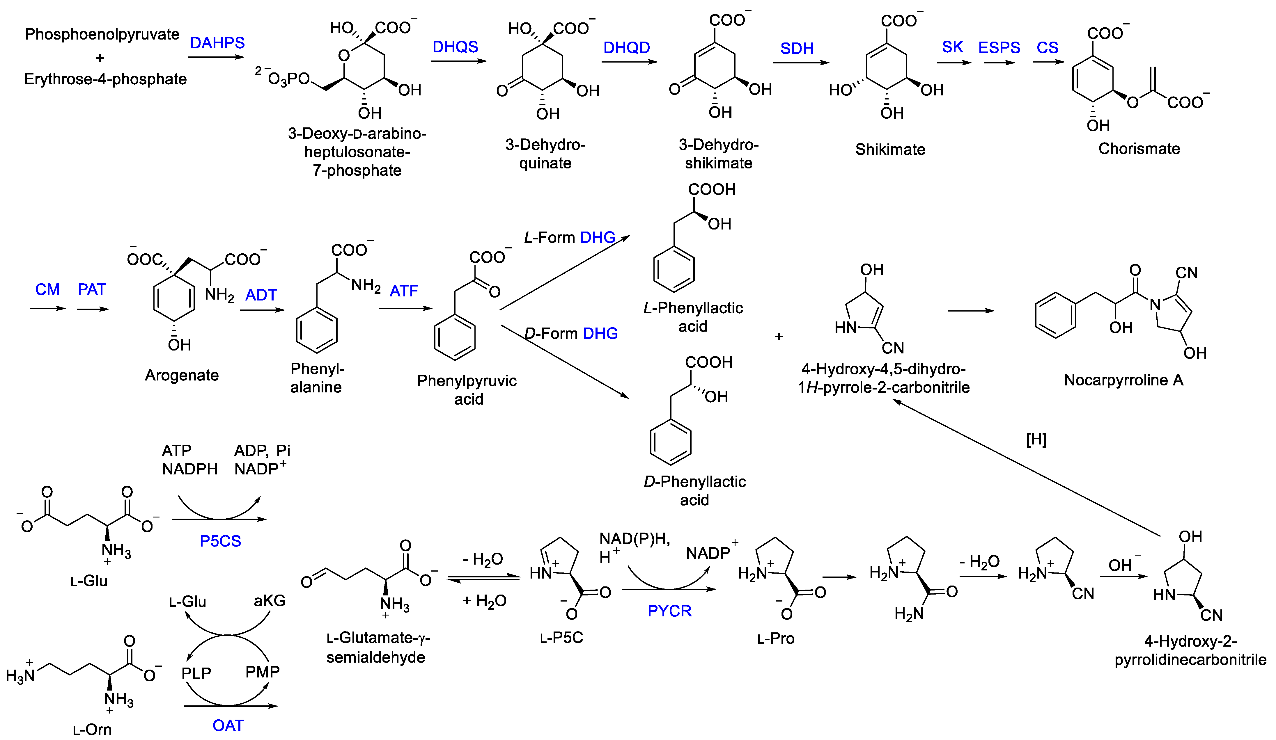 Marinedrugs 21 00127 g007