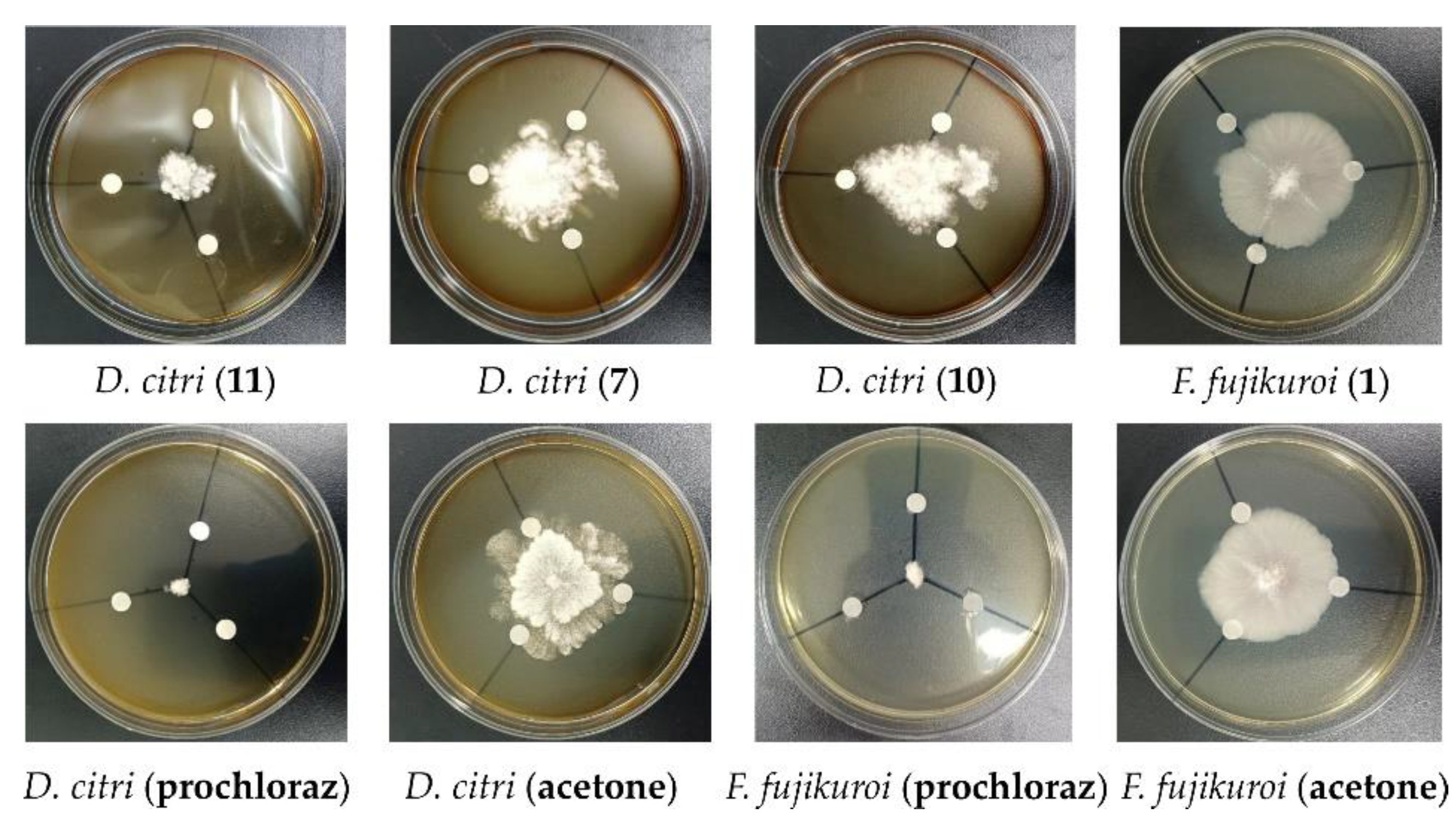 Marinedrugs 21 00127 g008