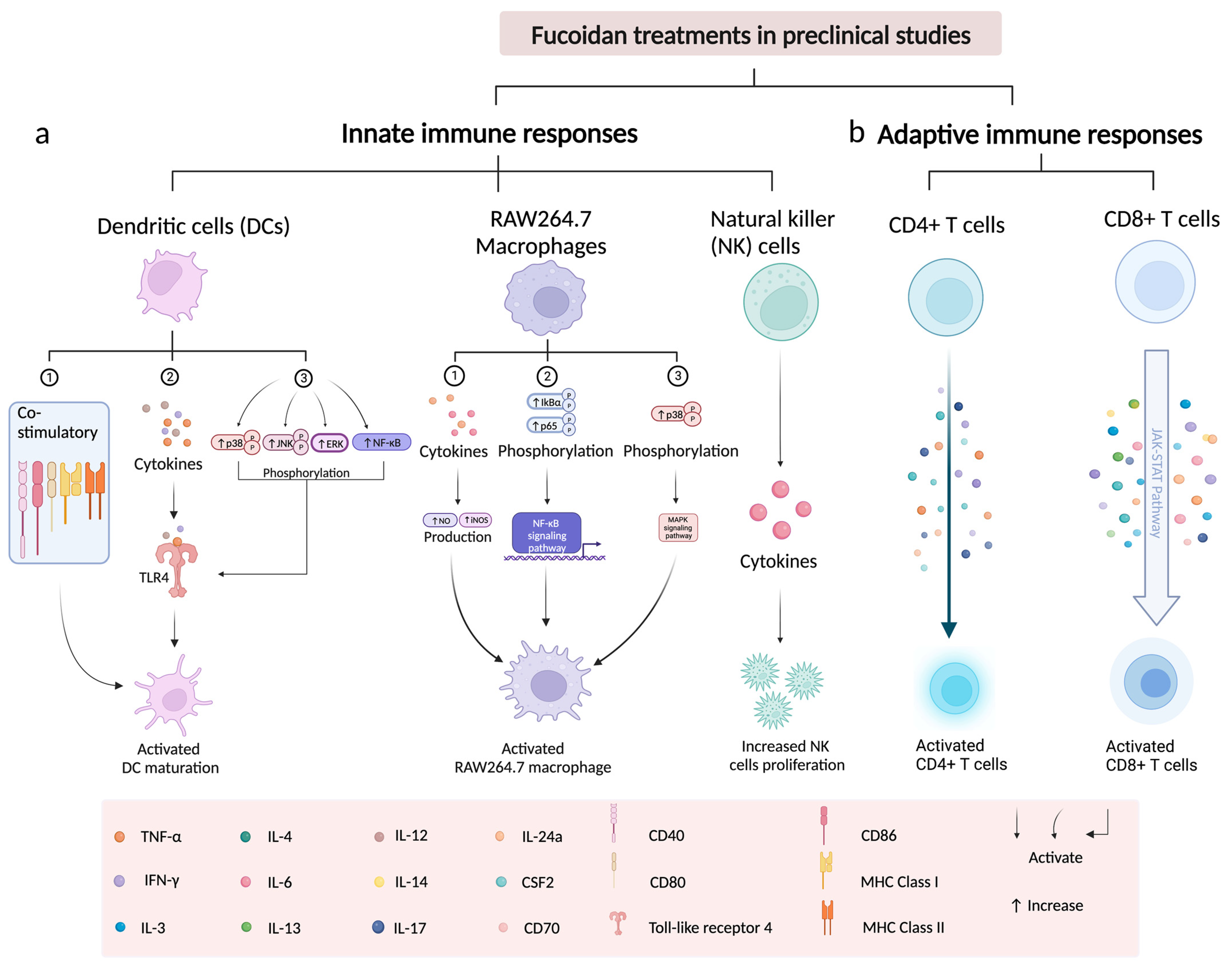Marinedrugs 21 00128 g001