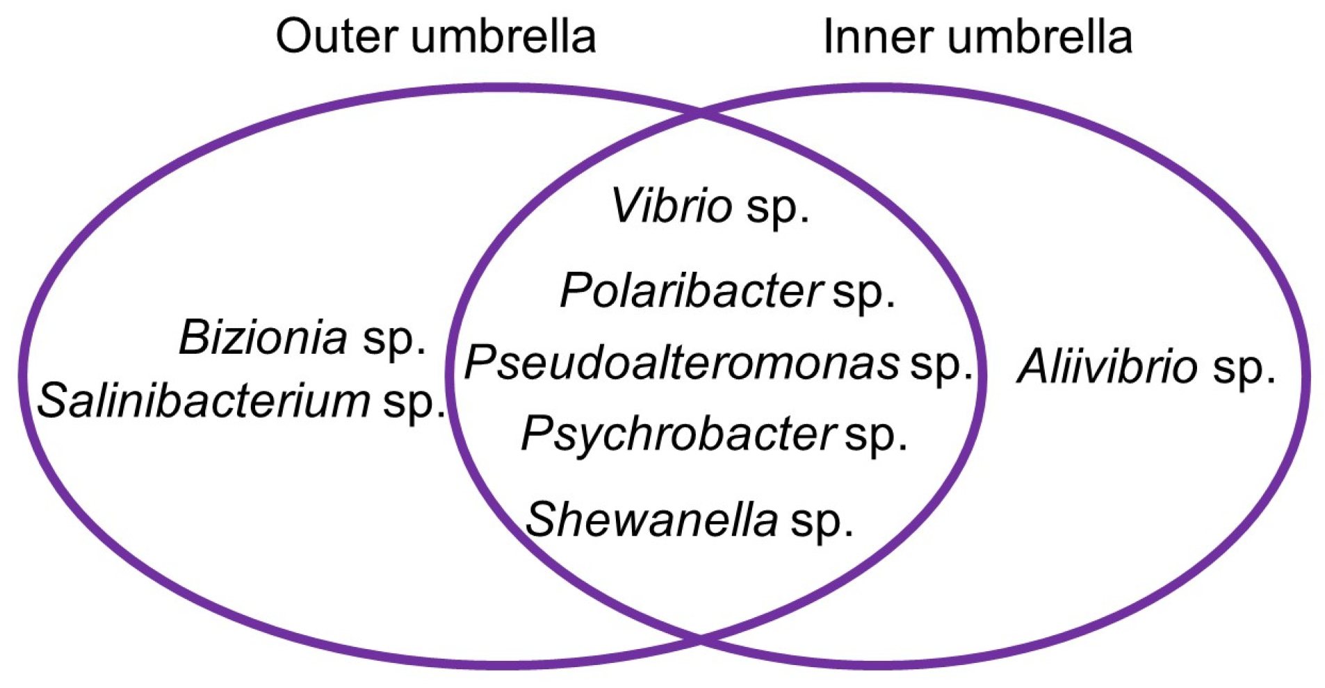 Marinedrugs 21 00129 g001