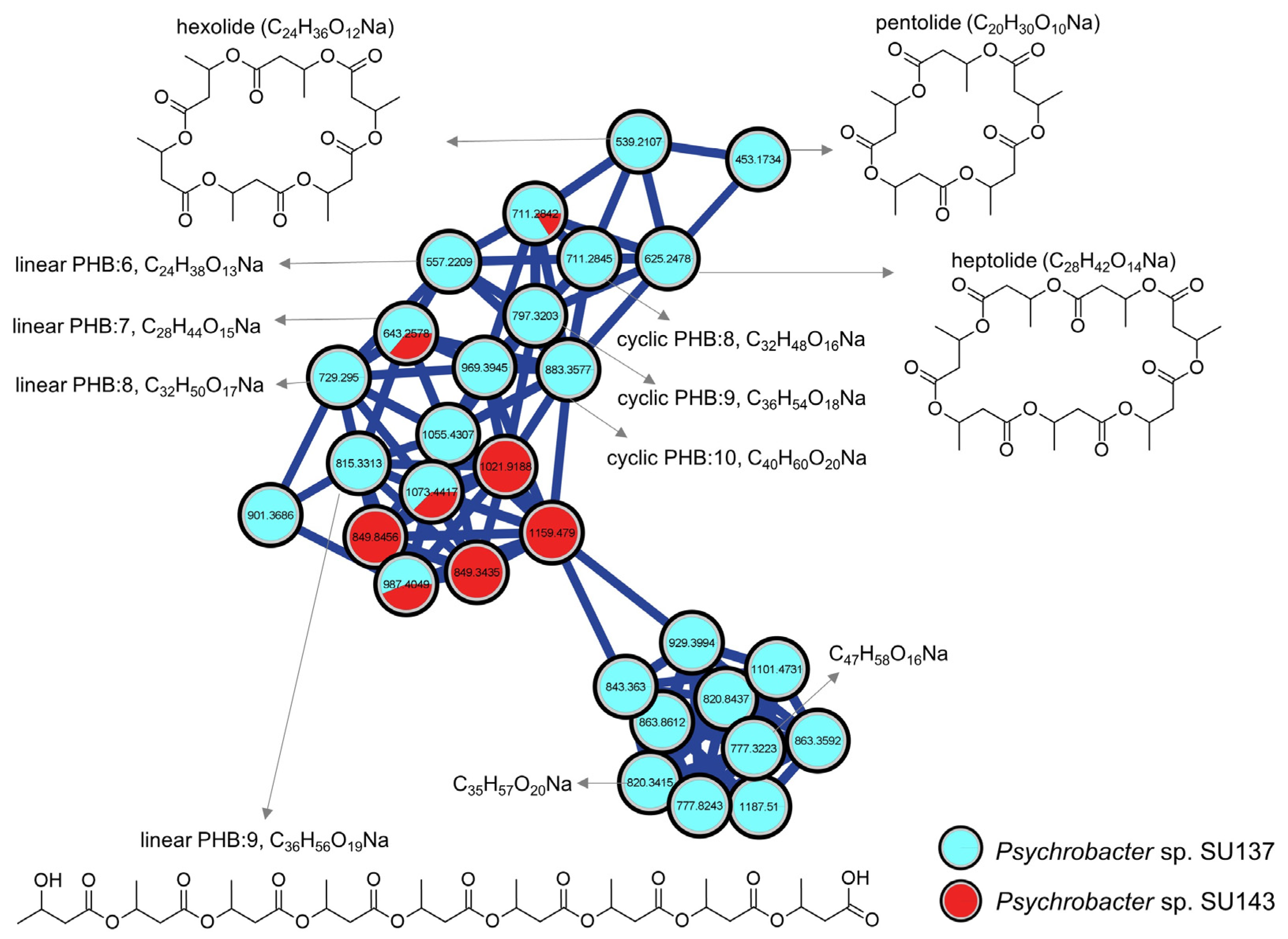 Marinedrugs 21 00129 g003
