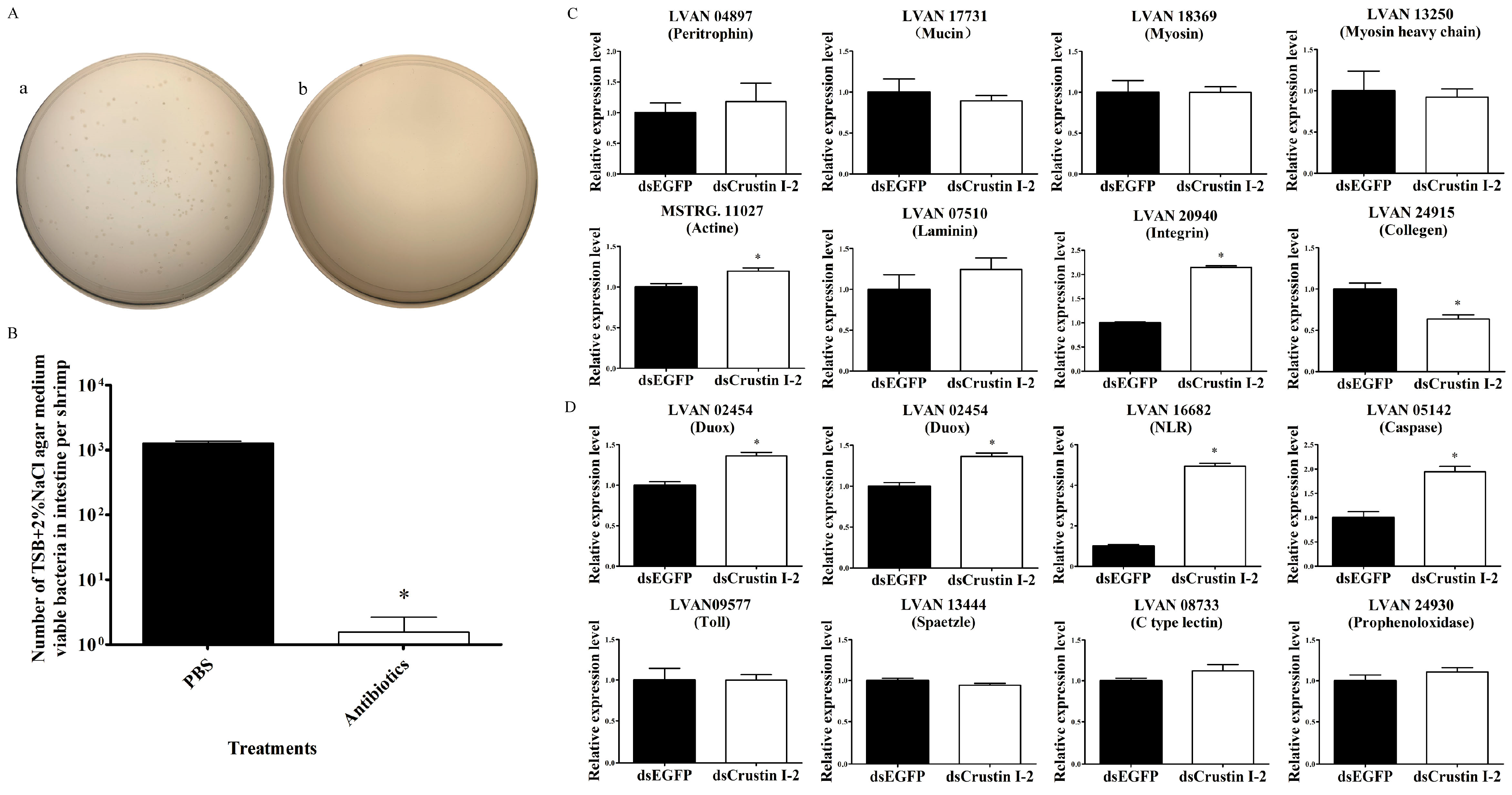 Marinedrugs 21 00130 g004