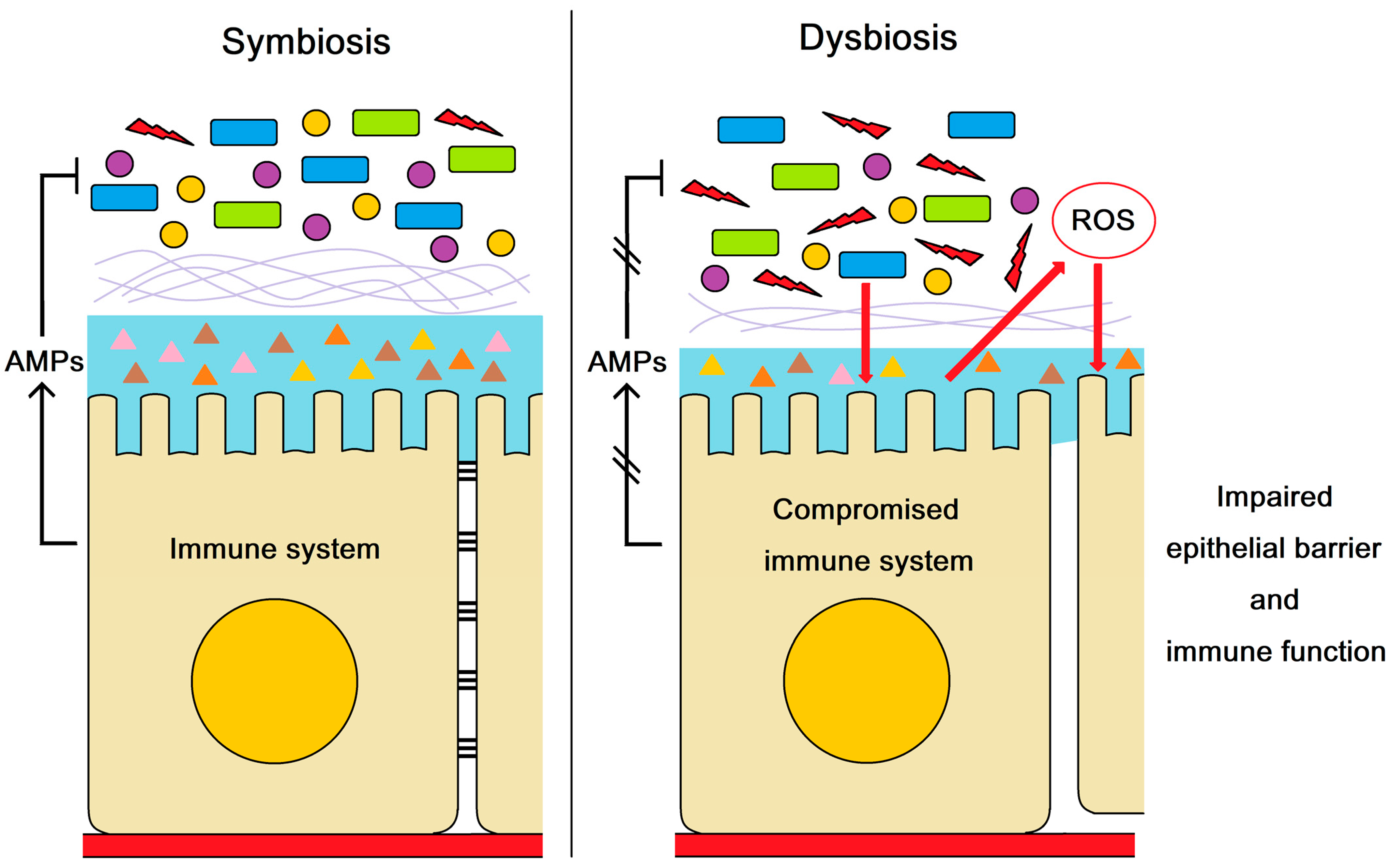 Marinedrugs 21 00130 g005