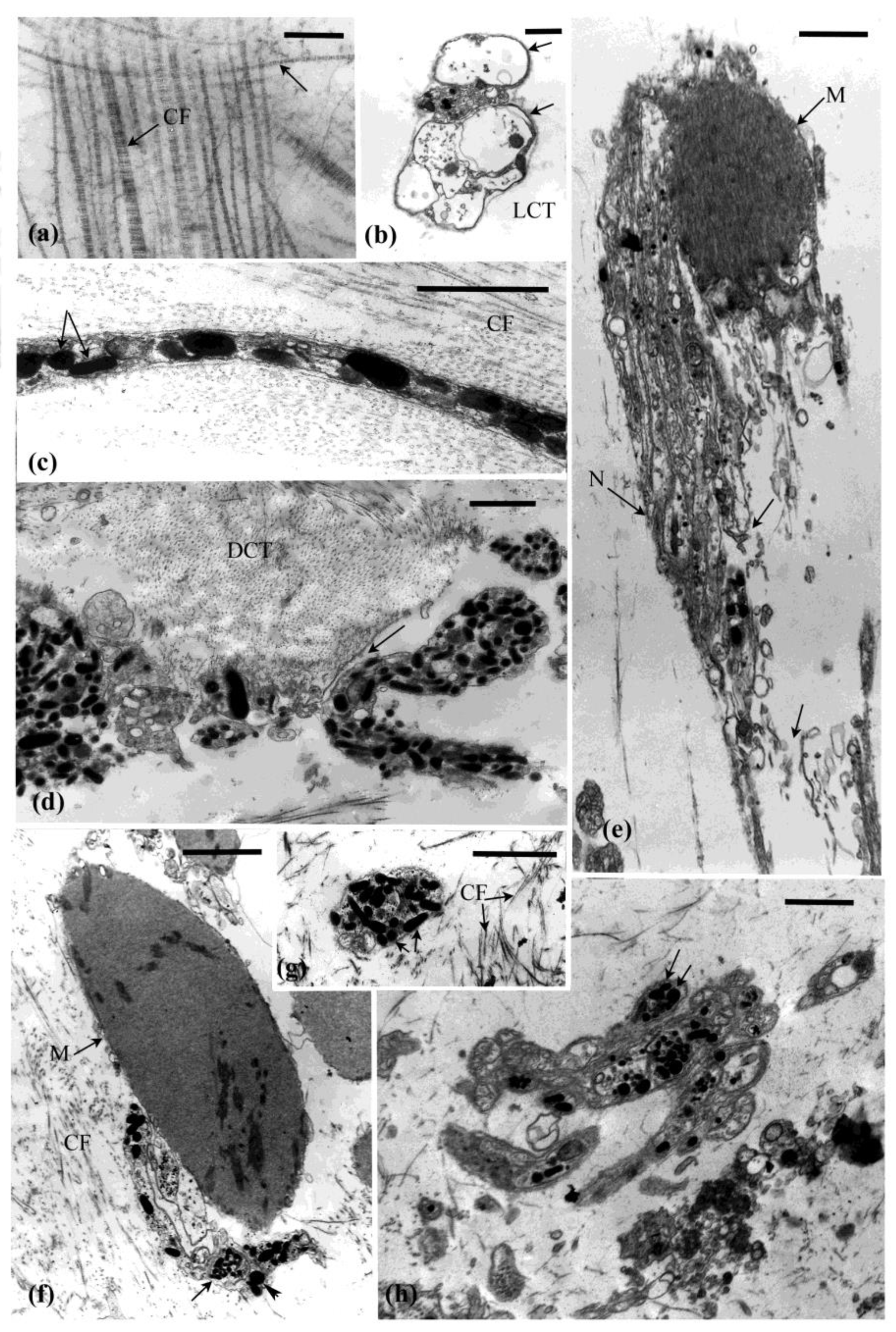 Marinedrugs 21 00134 g007