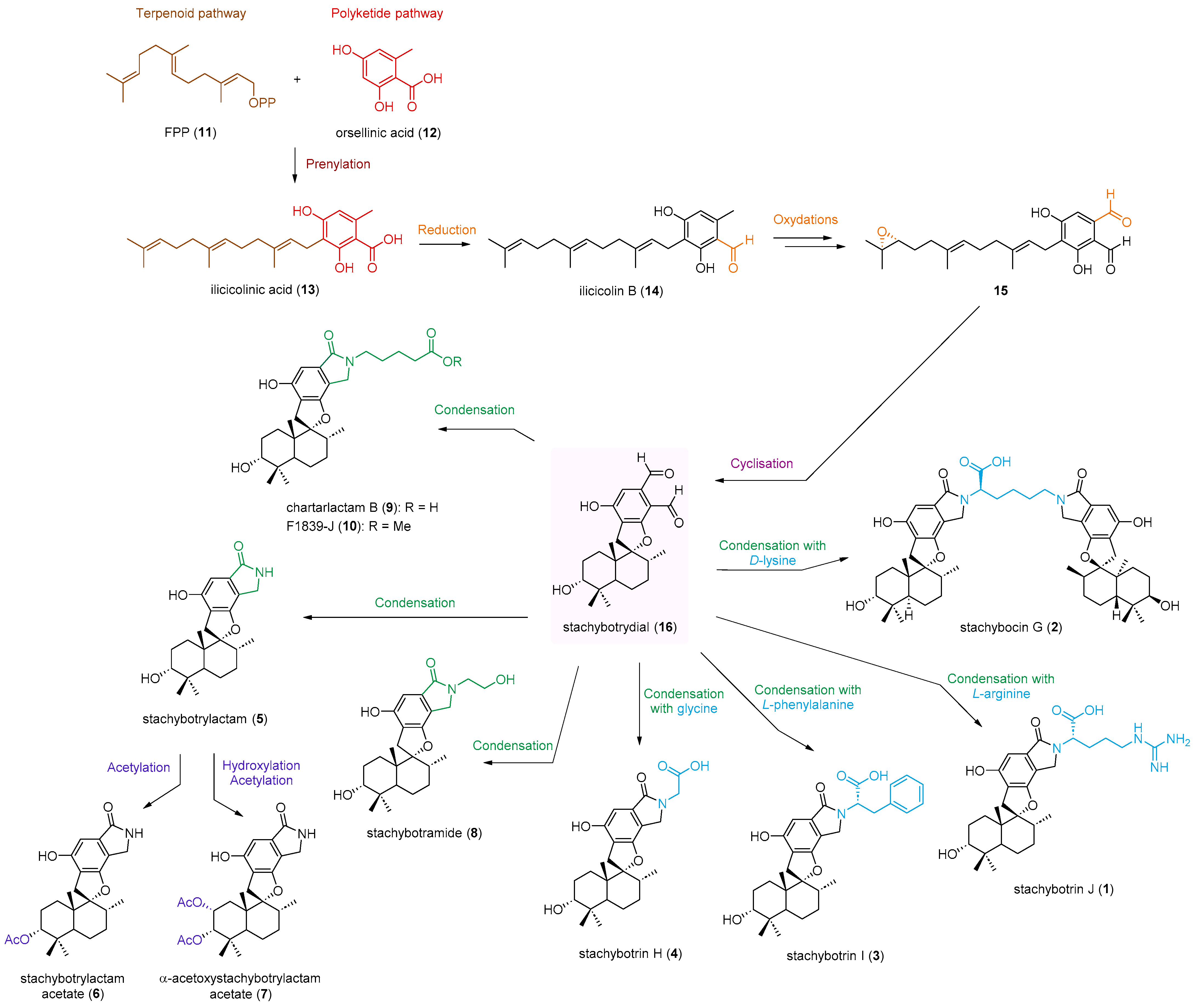 Marinedrugs 21 00135 g005