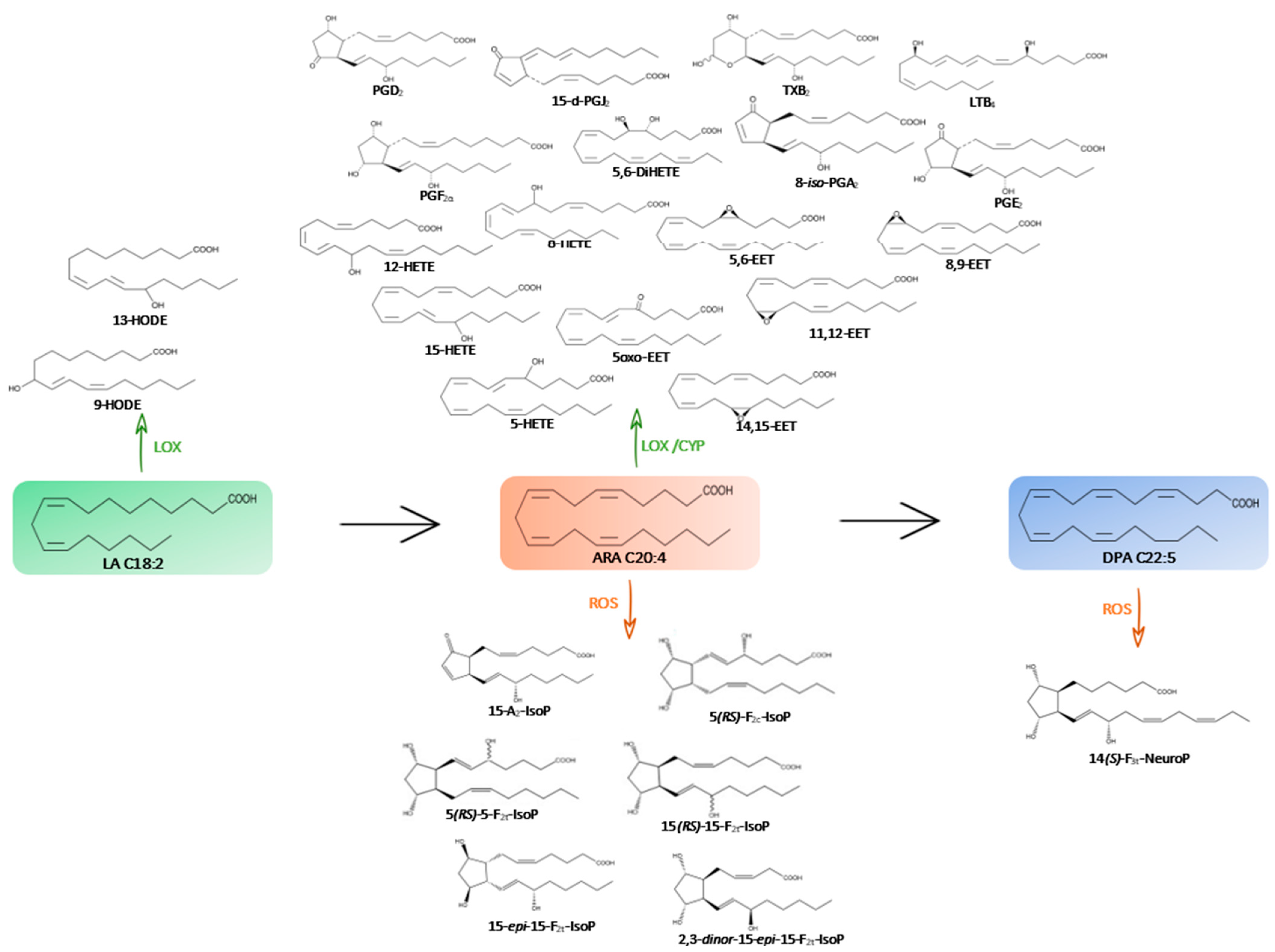 Marinedrugs 21 00136 g001