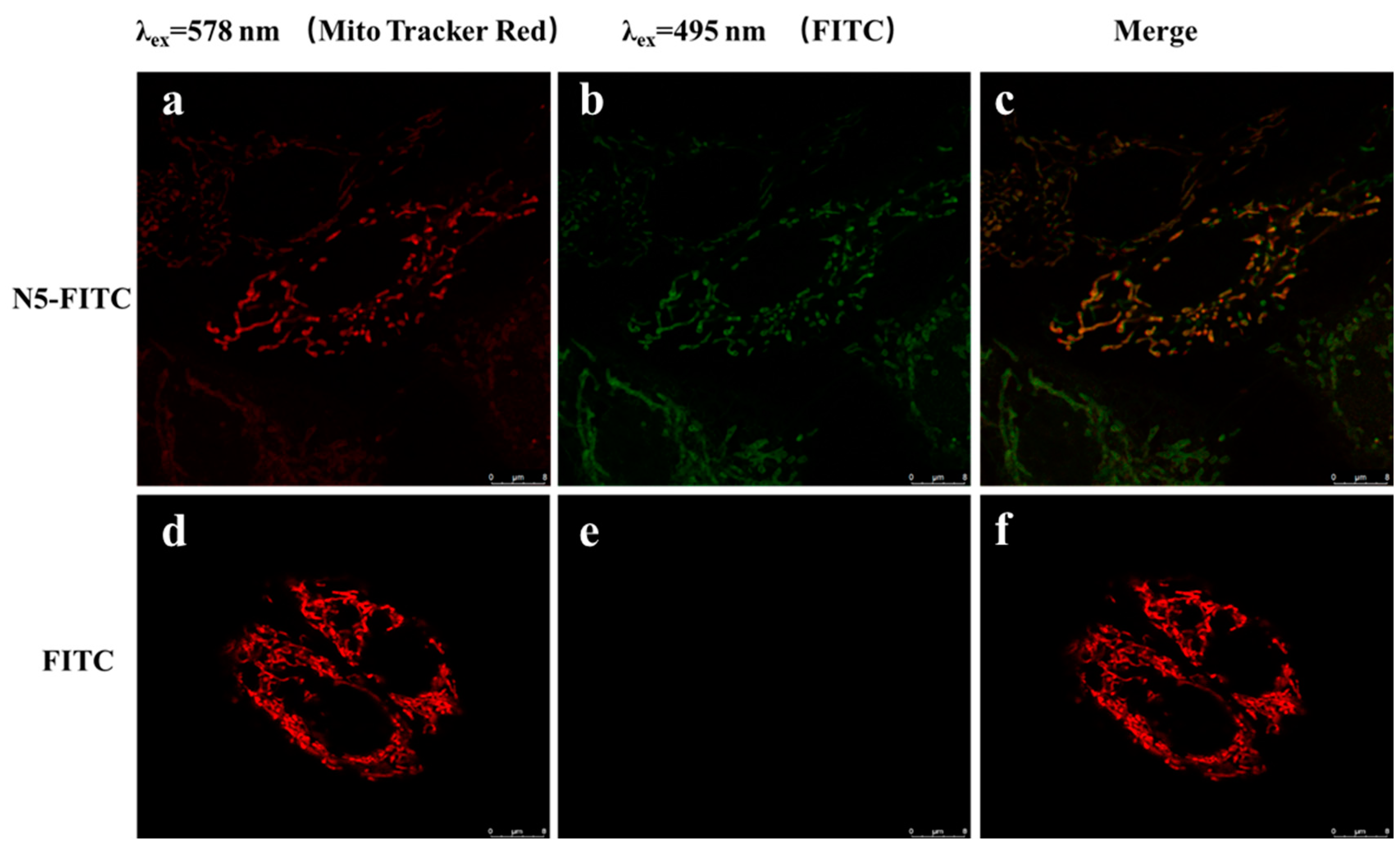 Marinedrugs 21 00137 g005