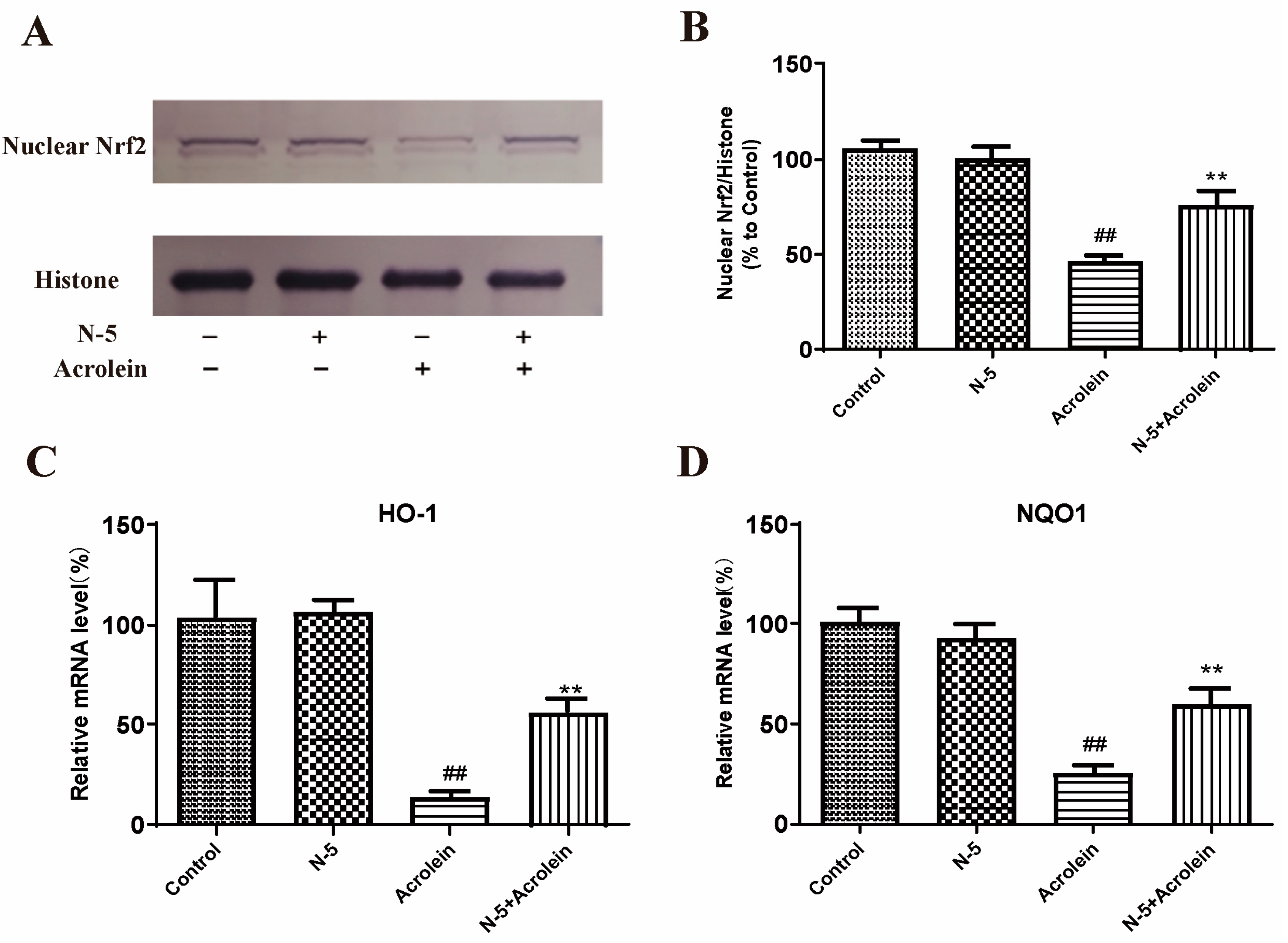 Marinedrugs 21 00137 g006