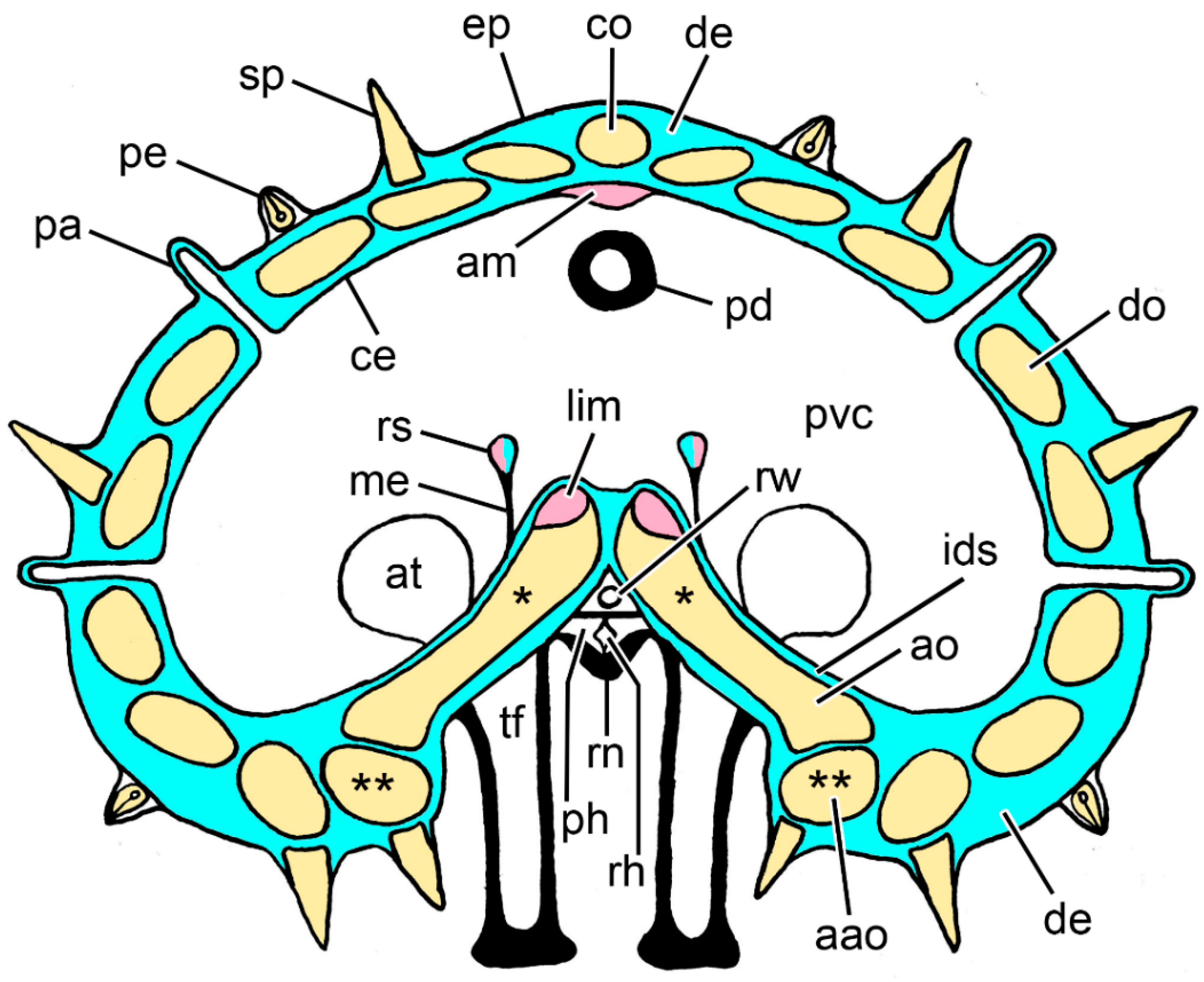 Marinedrugs 21 00138 g002