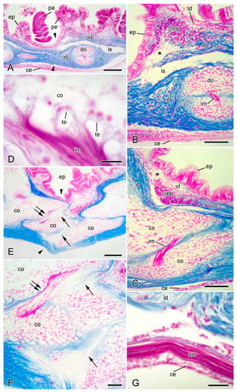 Marinedrugs 21 00138 g004