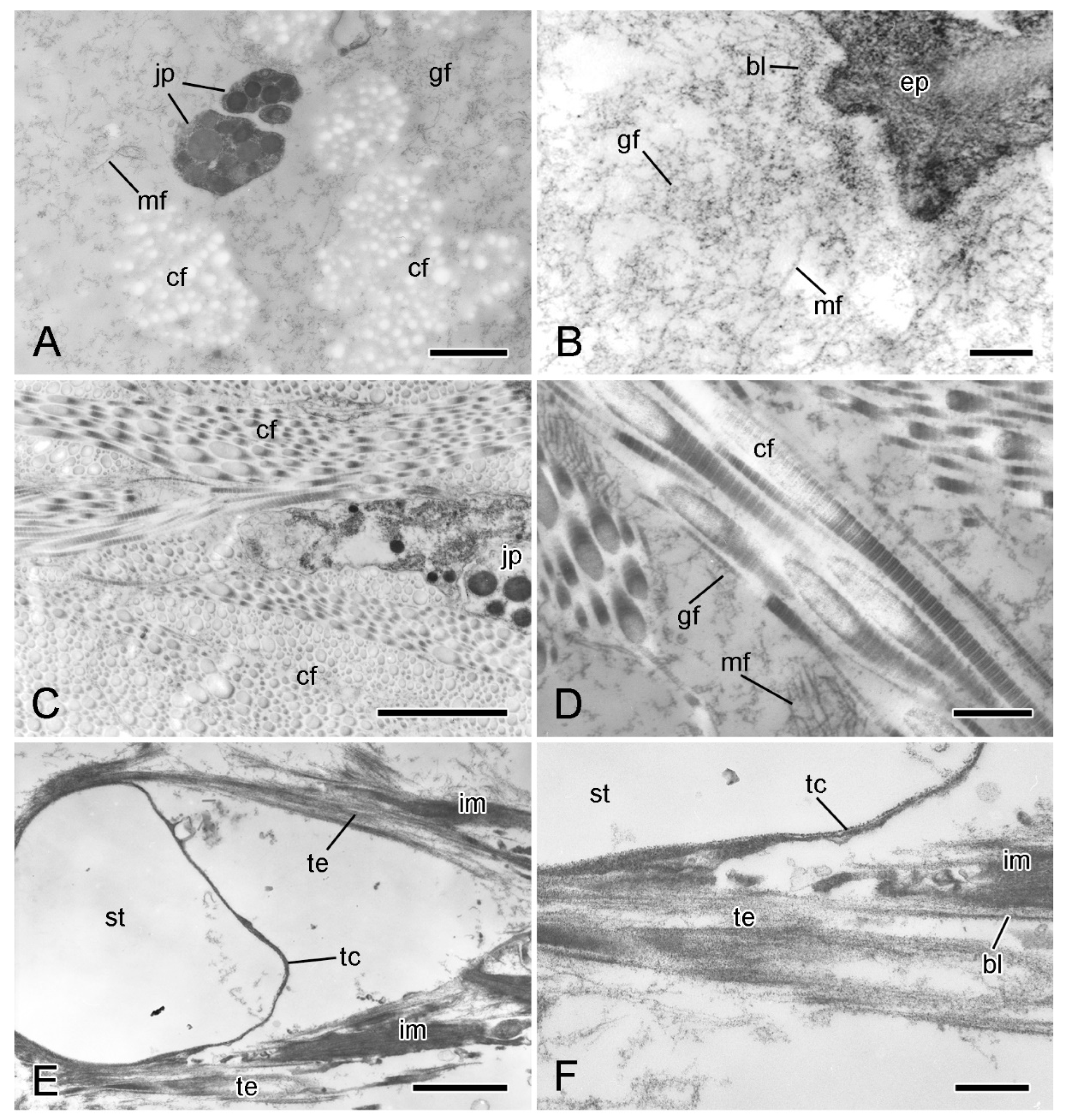 Marinedrugs 21 00138 g005