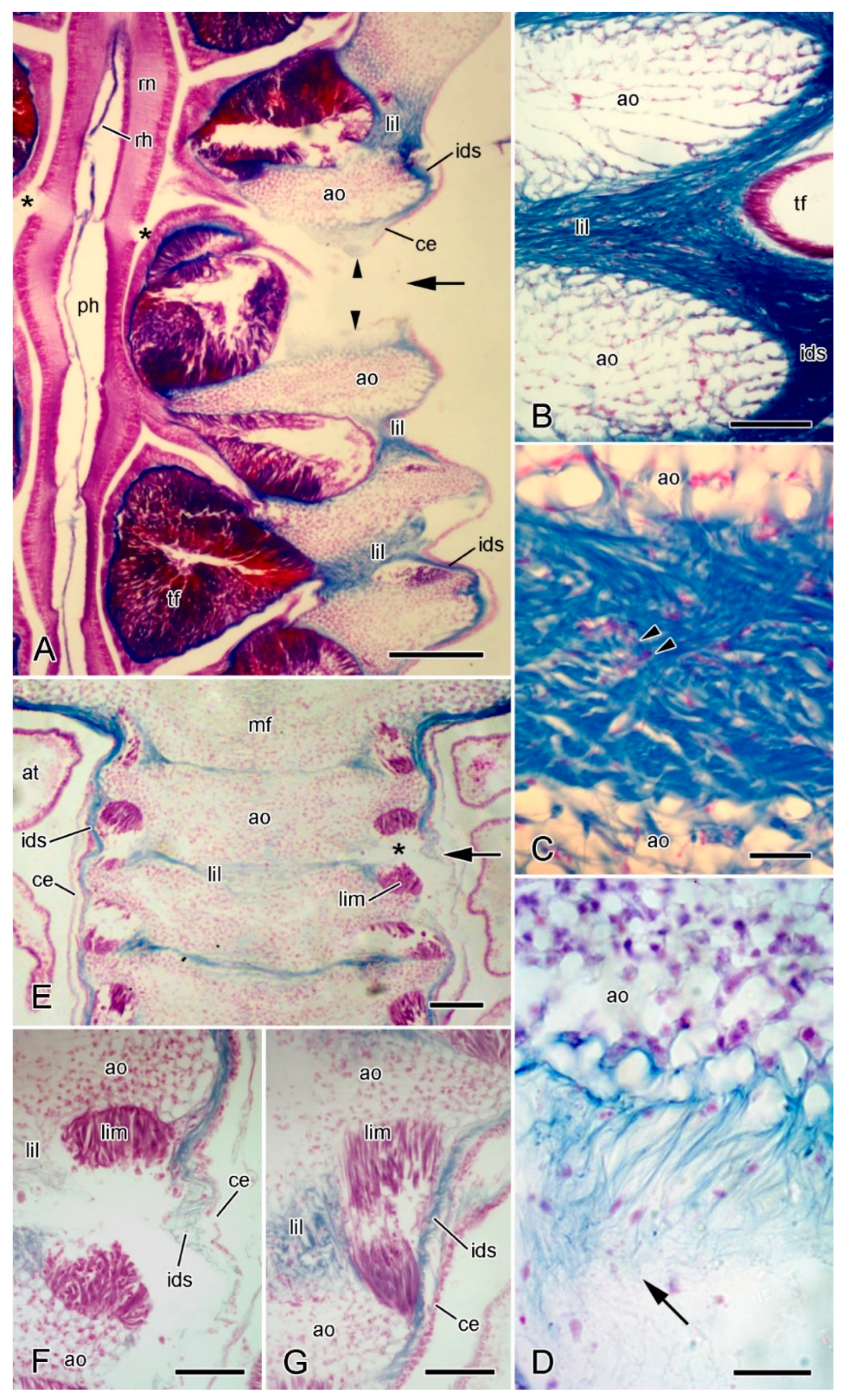 Marinedrugs 21 00138 g009