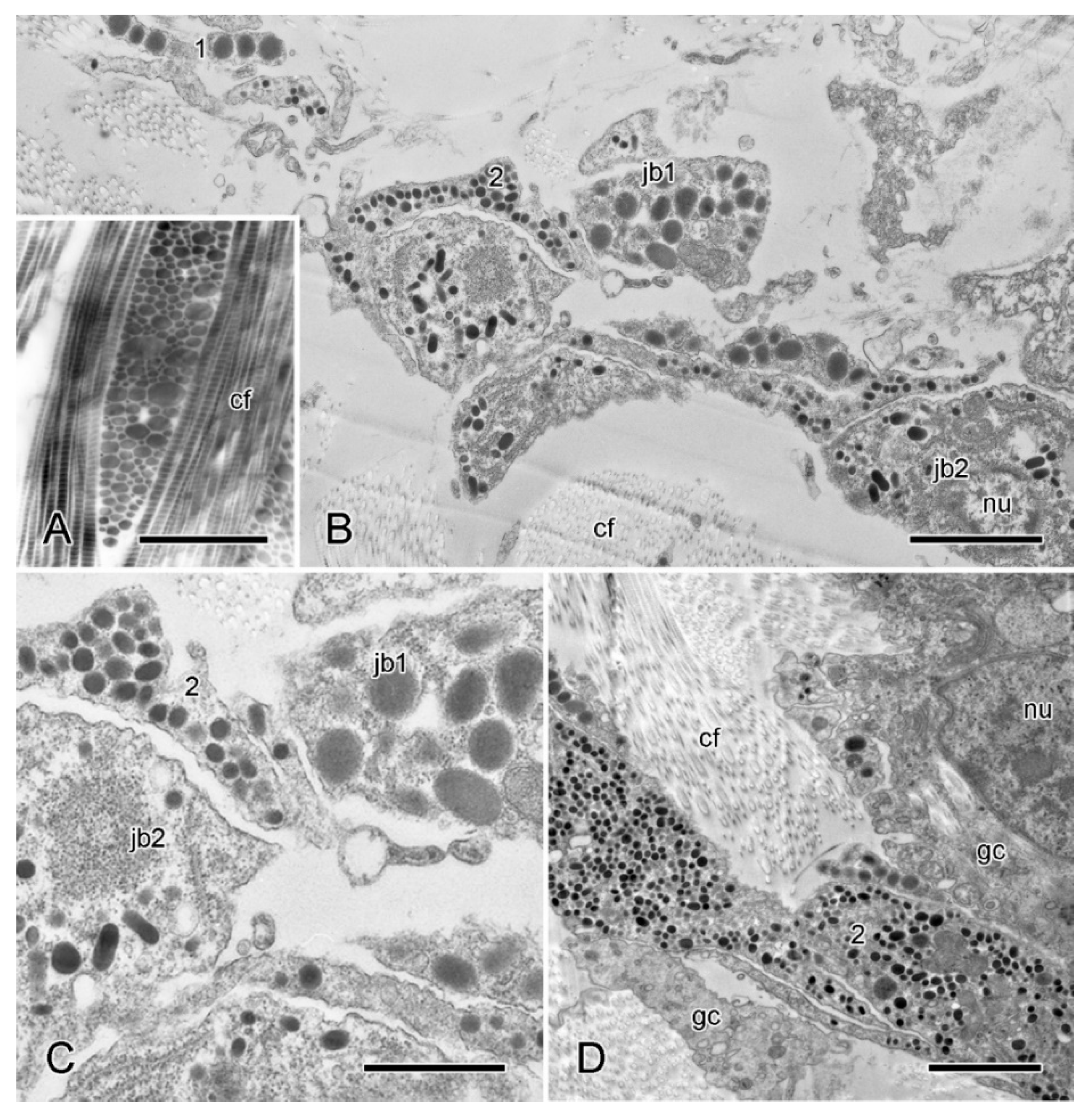 Marinedrugs 21 00138 g010