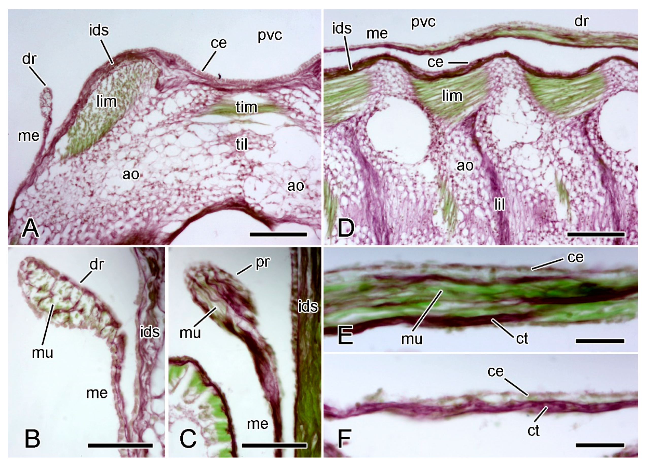 Marinedrugs 21 00138 g011