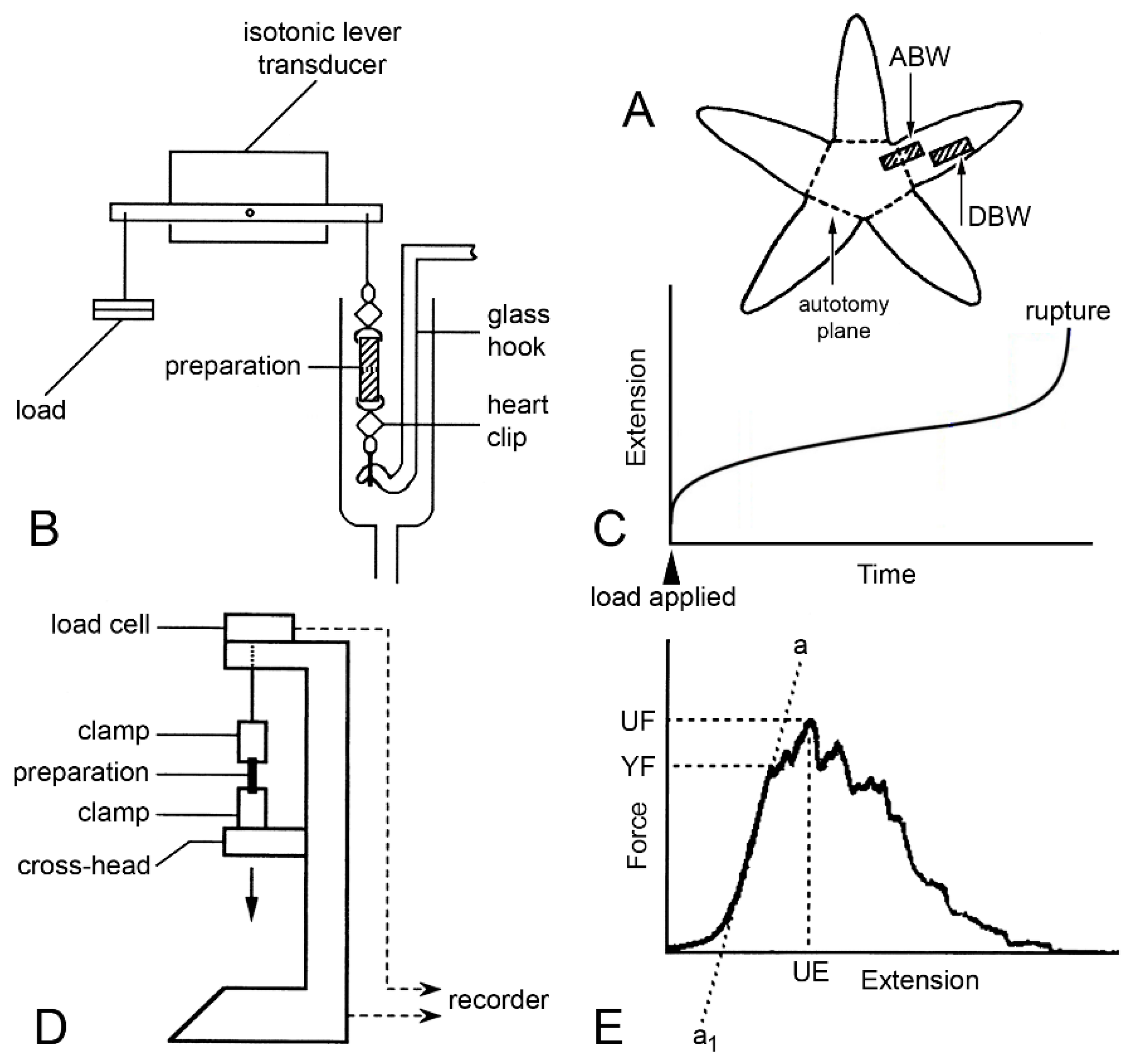 Marinedrugs 21 00138 g013
