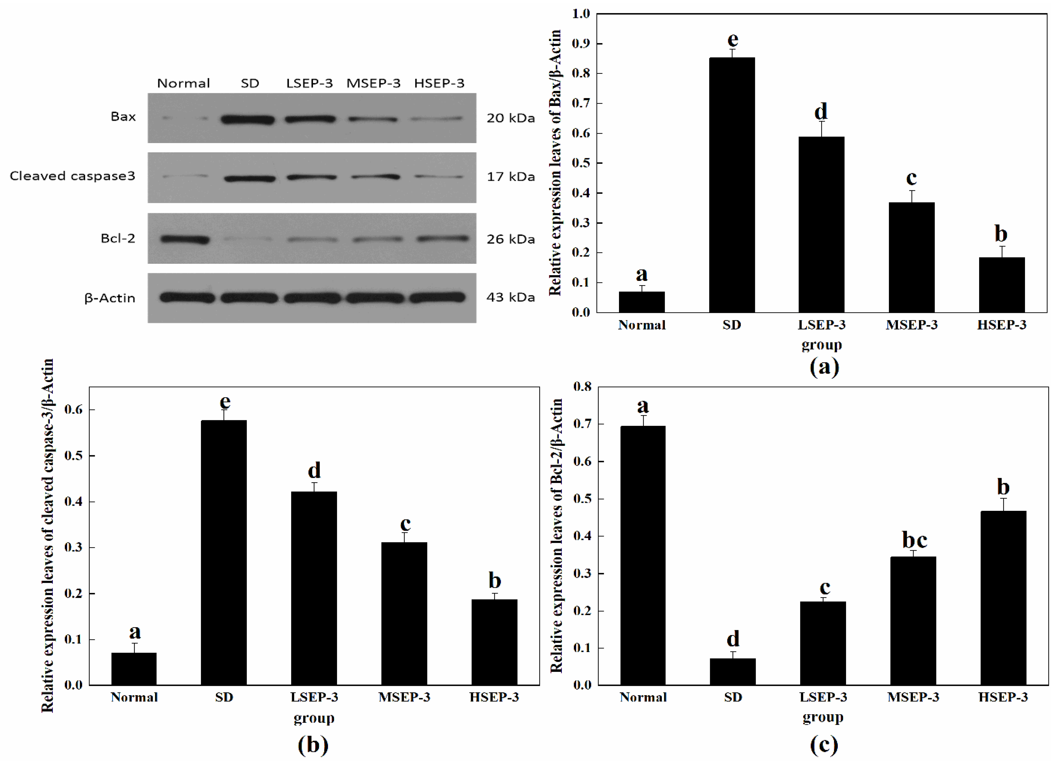 Marinedrugs 21 00139 g004