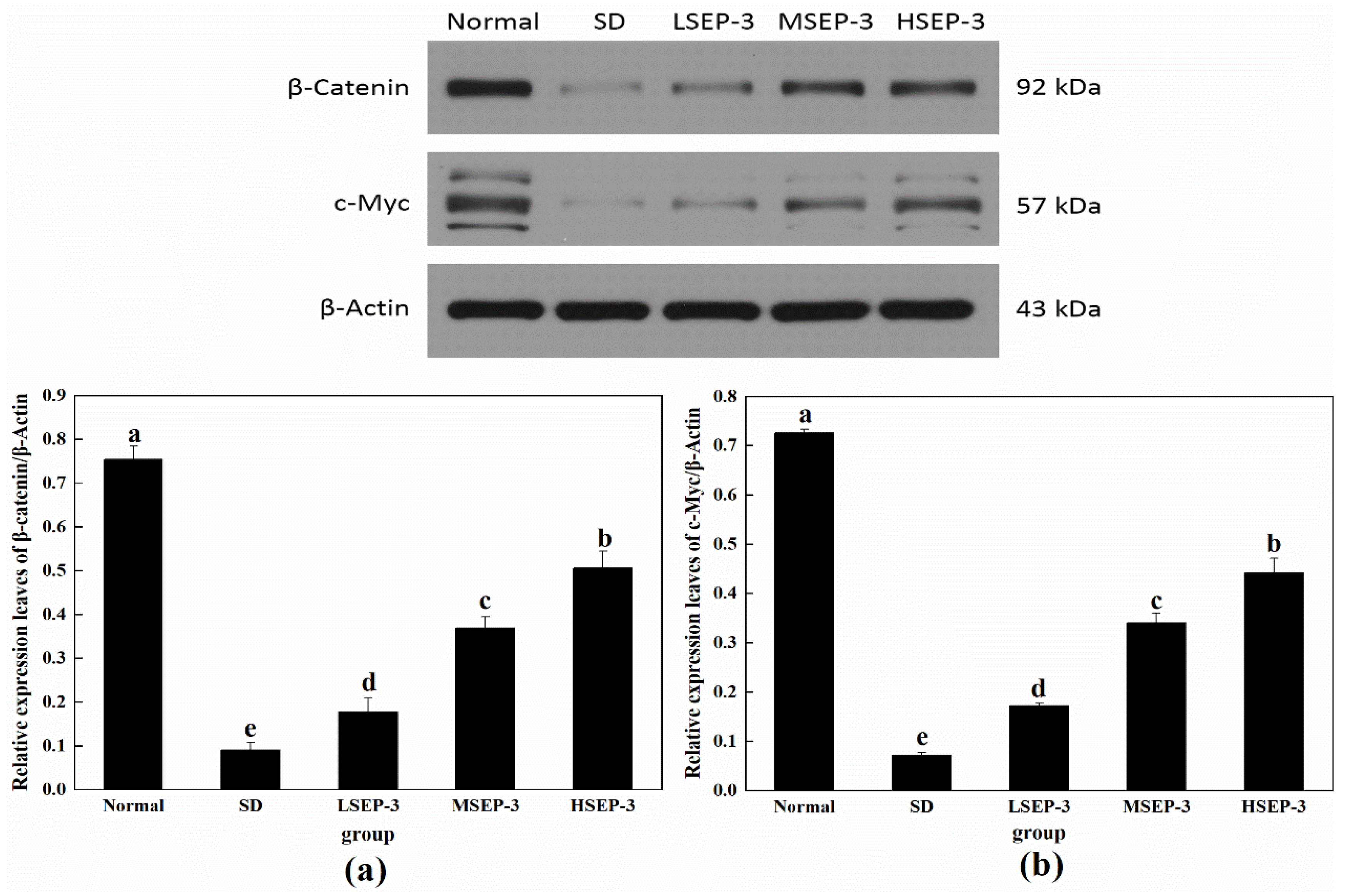 Marinedrugs 21 00139 g005