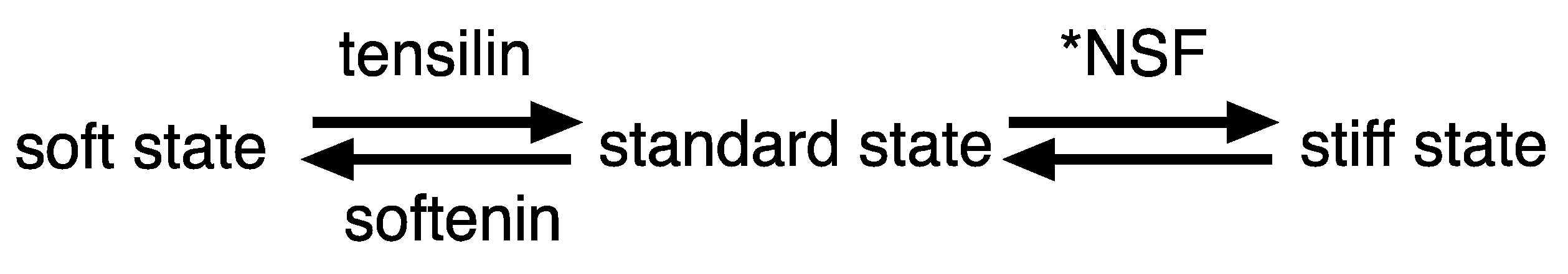 Marinedrugs 21 00140 g001