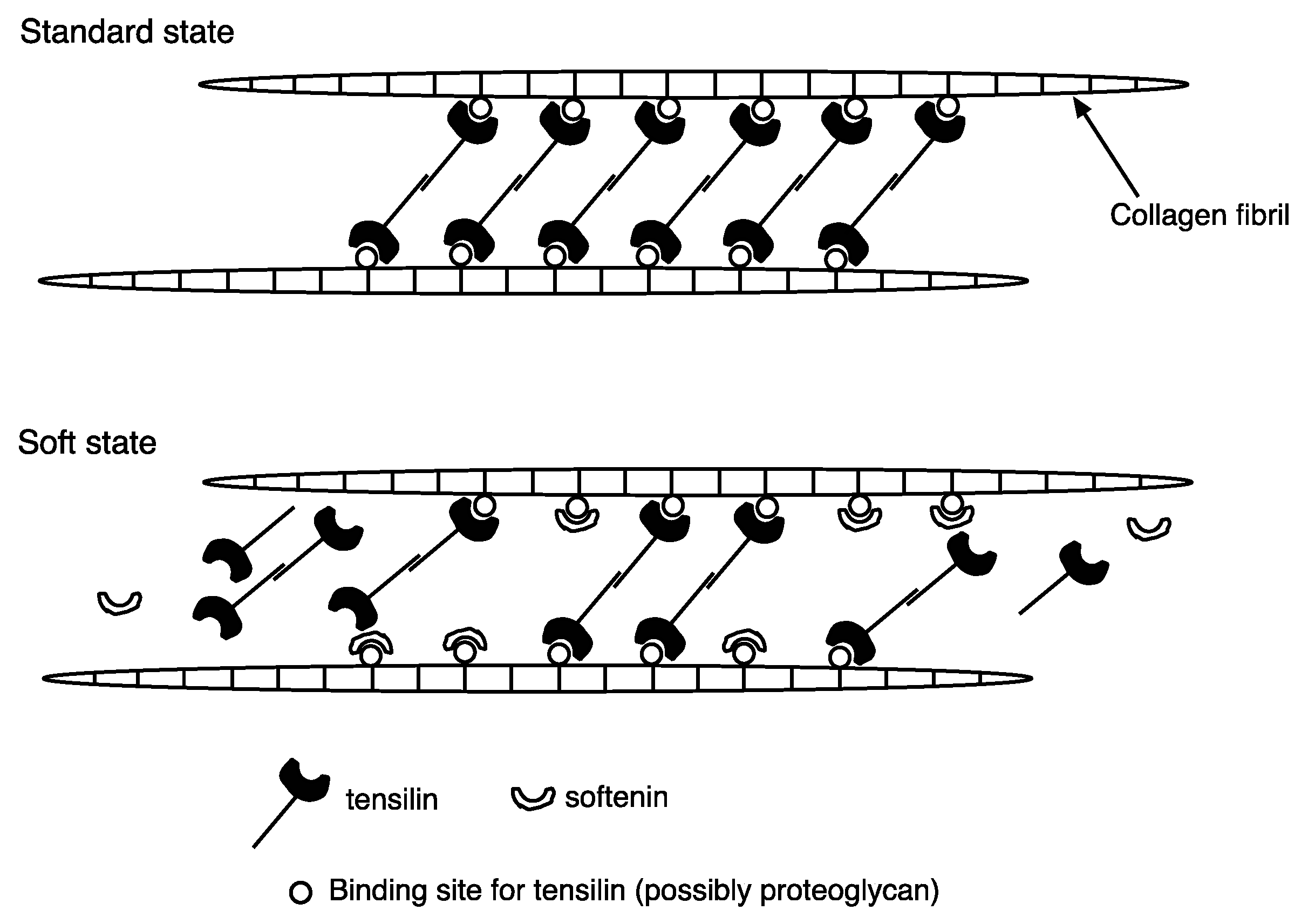 Marinedrugs 21 00140 g002