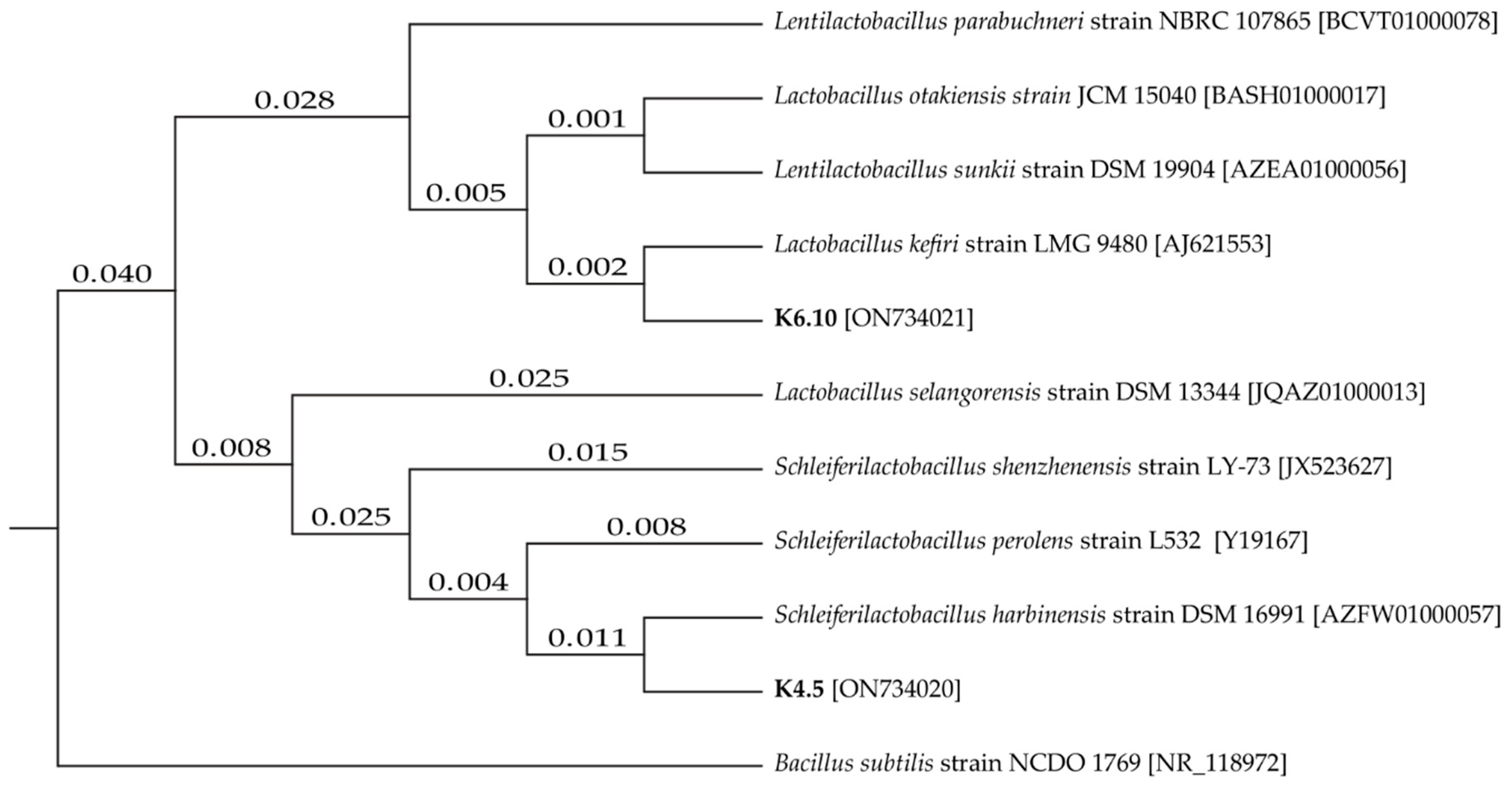 Marinedrugs 21 00142 g001
