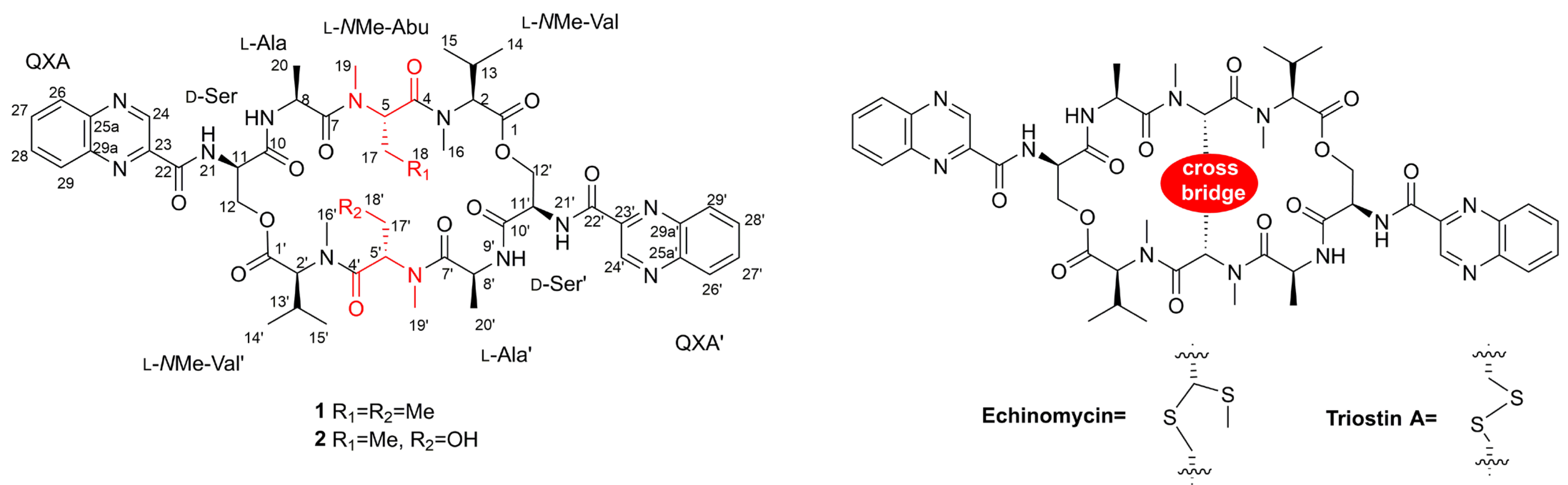 Marinedrugs 21 00143 g001 Marinedrugs 21 00143 g001