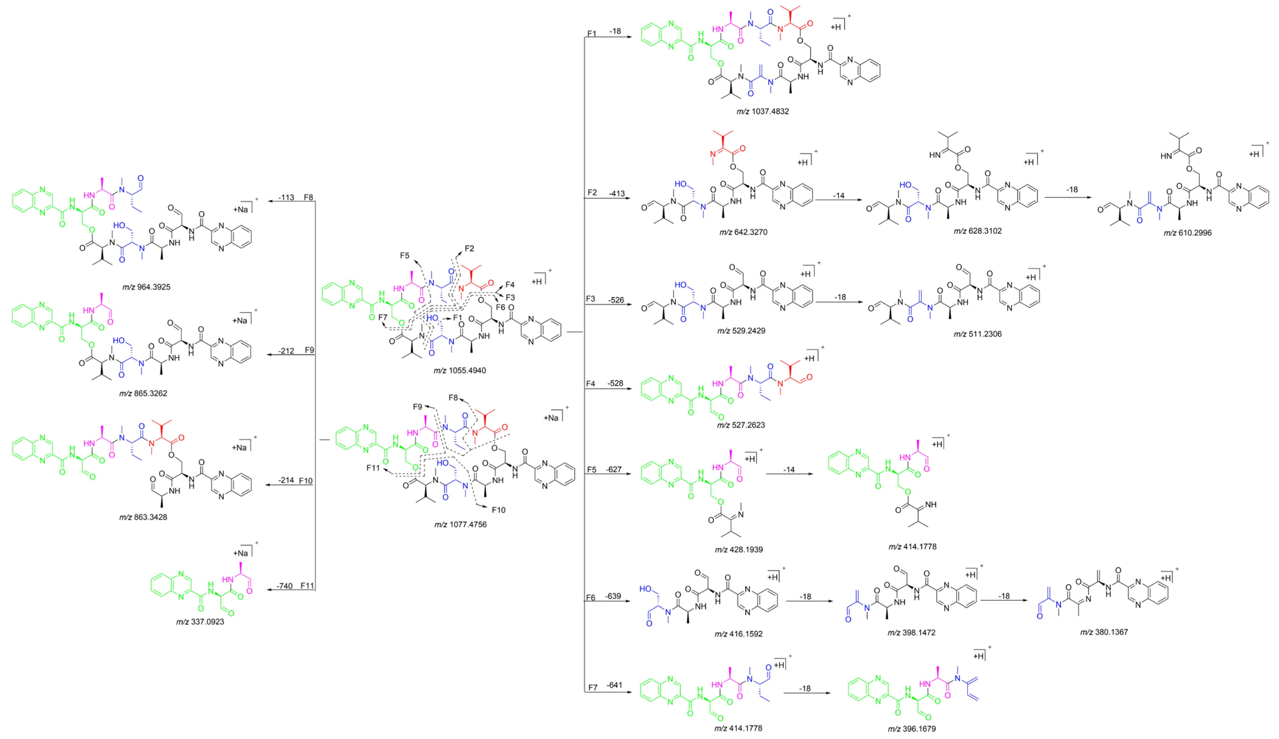 Marinedrugs 21 00143 g007 Marinedrugs 21 00143 g007