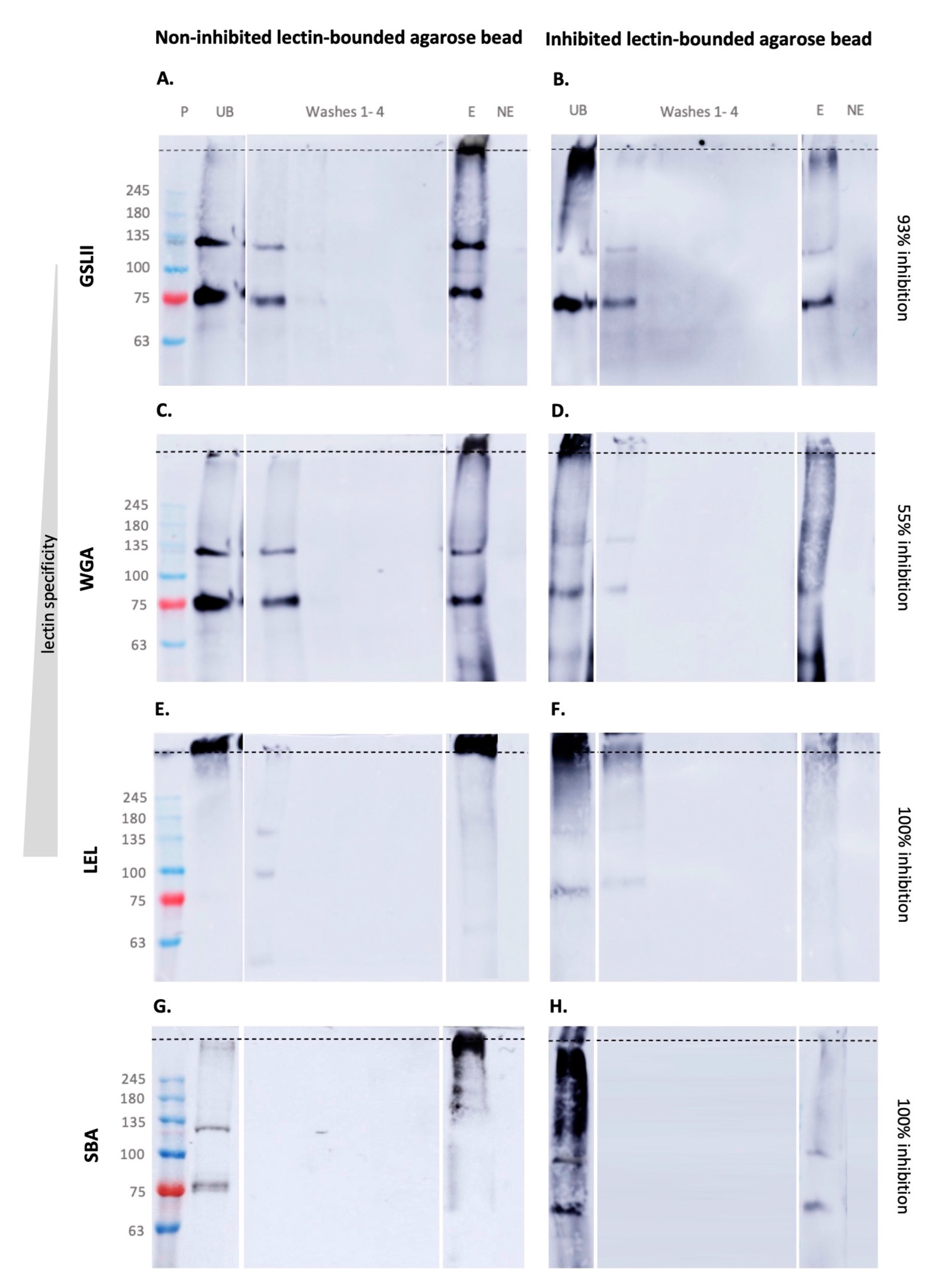 Marinedrugs 21 00145 g001