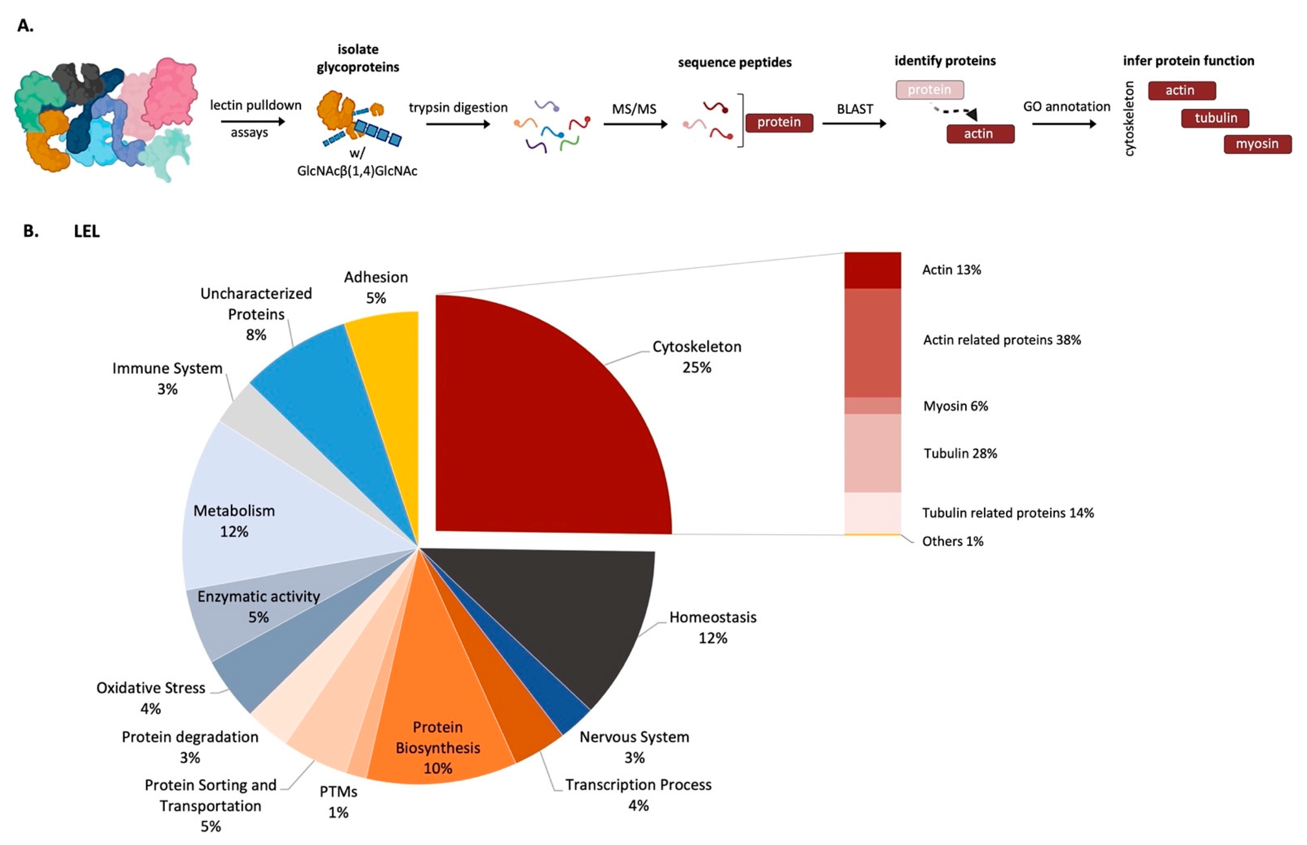 Marinedrugs 21 00145 g003