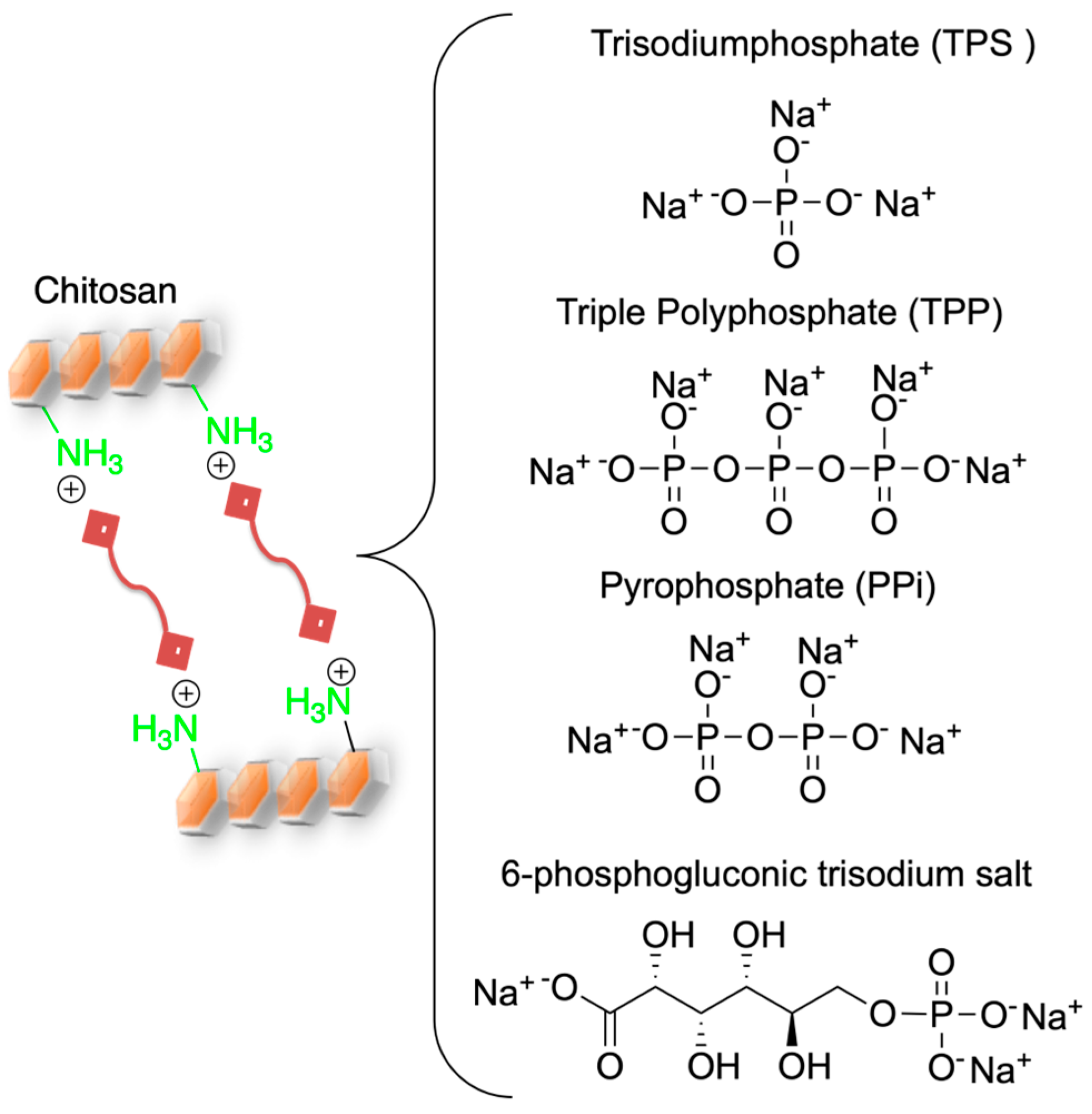 Marinedrugs 21 00147 g005