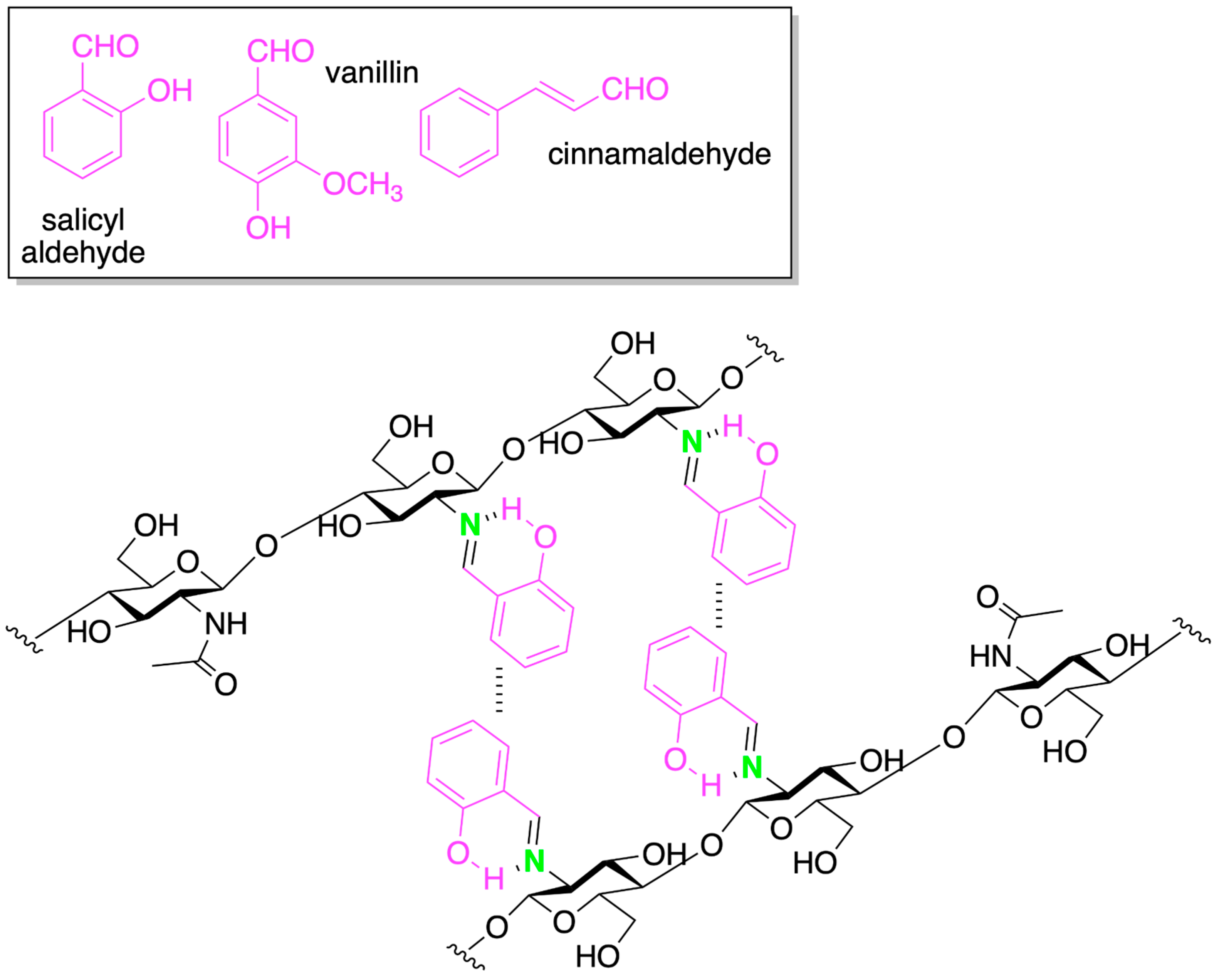 Marinedrugs 21 00147 g010