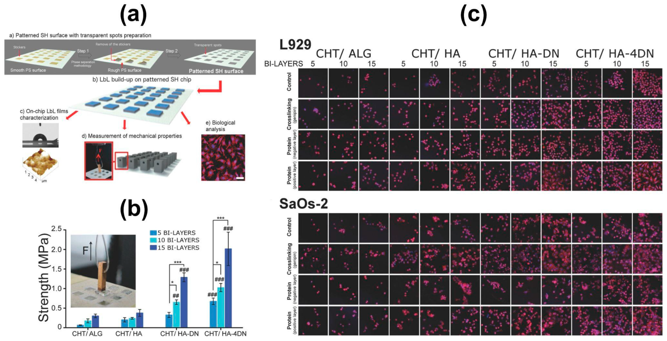 Marinedrugs 21 00147 g014