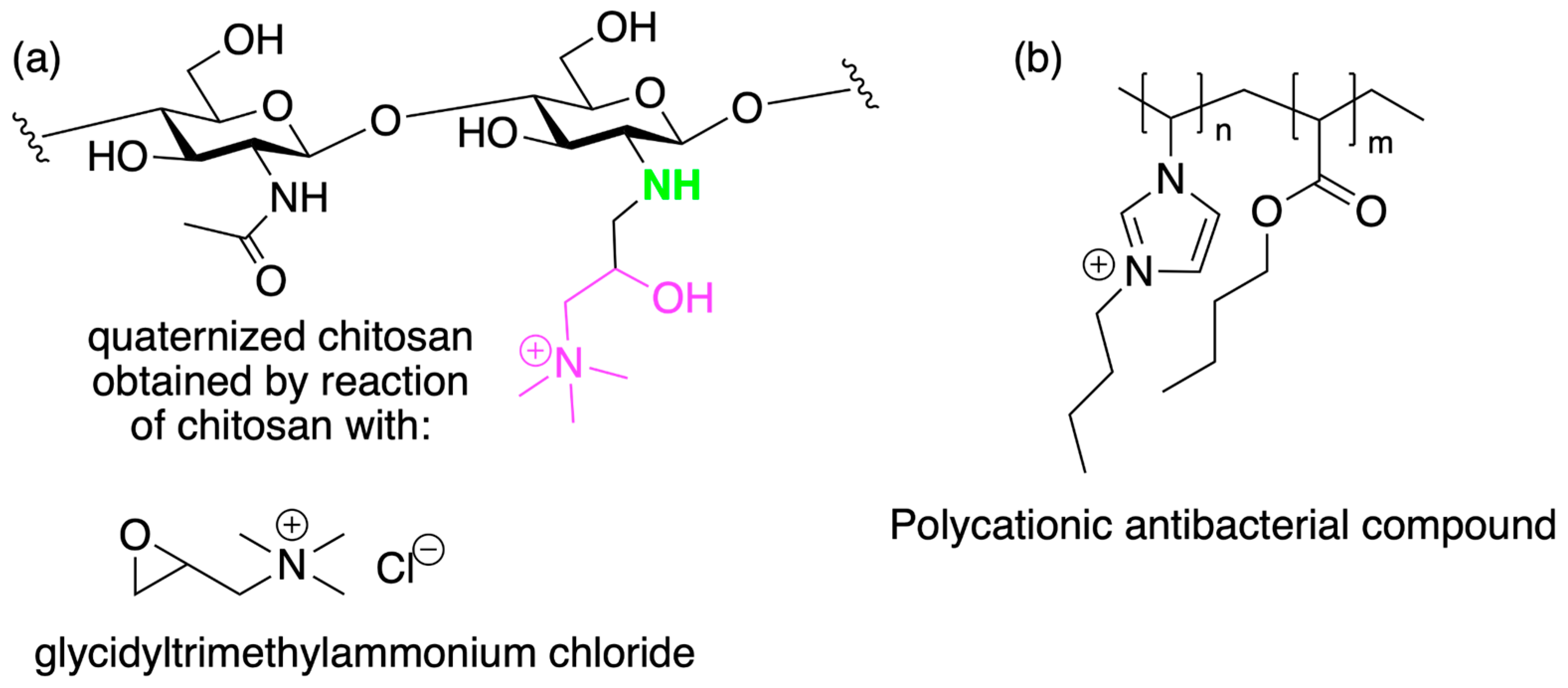 Marinedrugs 21 00147 g024
