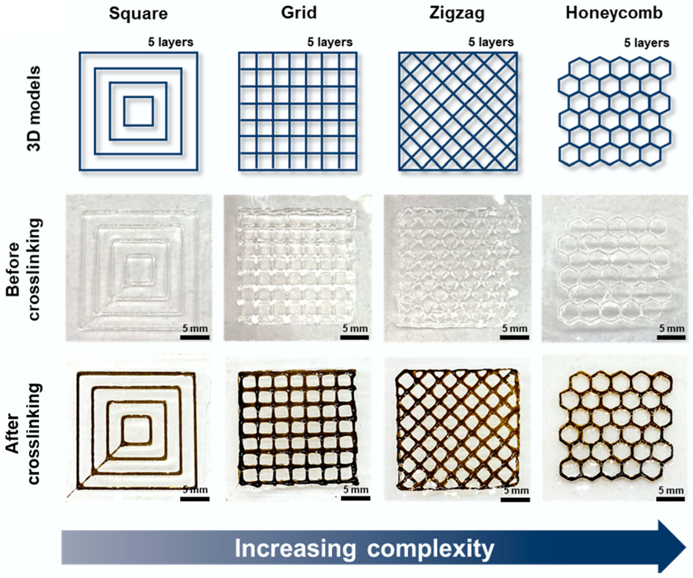 Marinedrugs 21 00147 g026