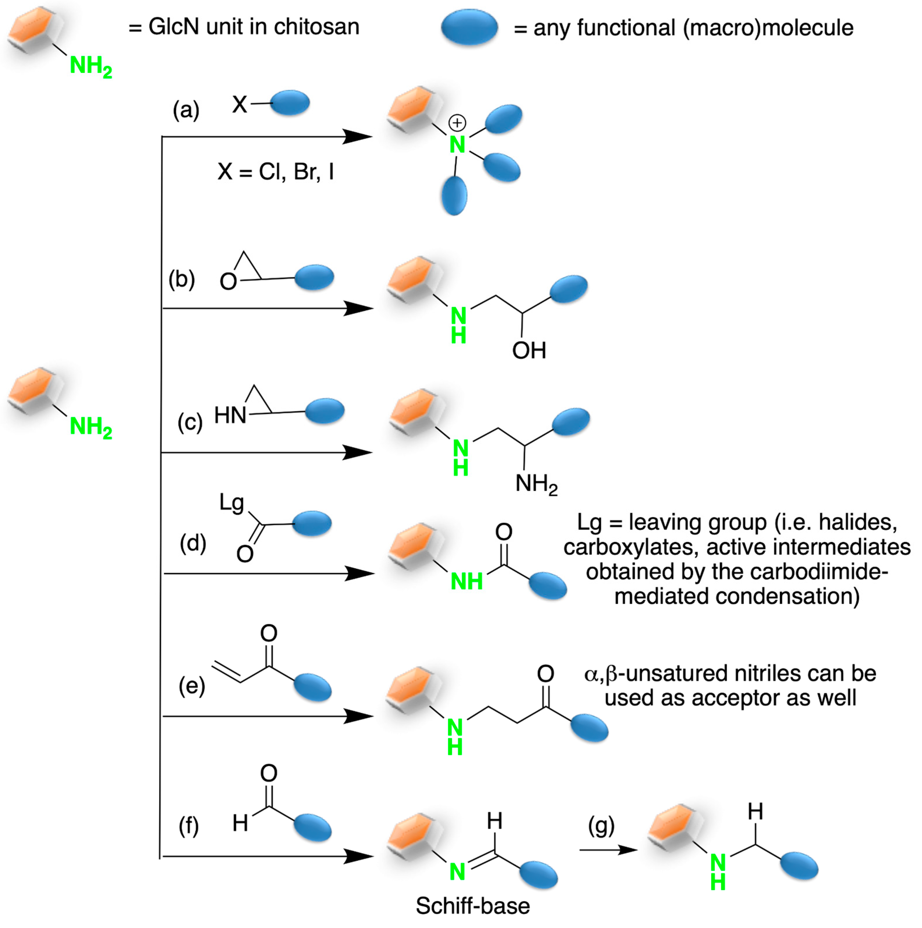 Marinedrugs 21 00147 sch001