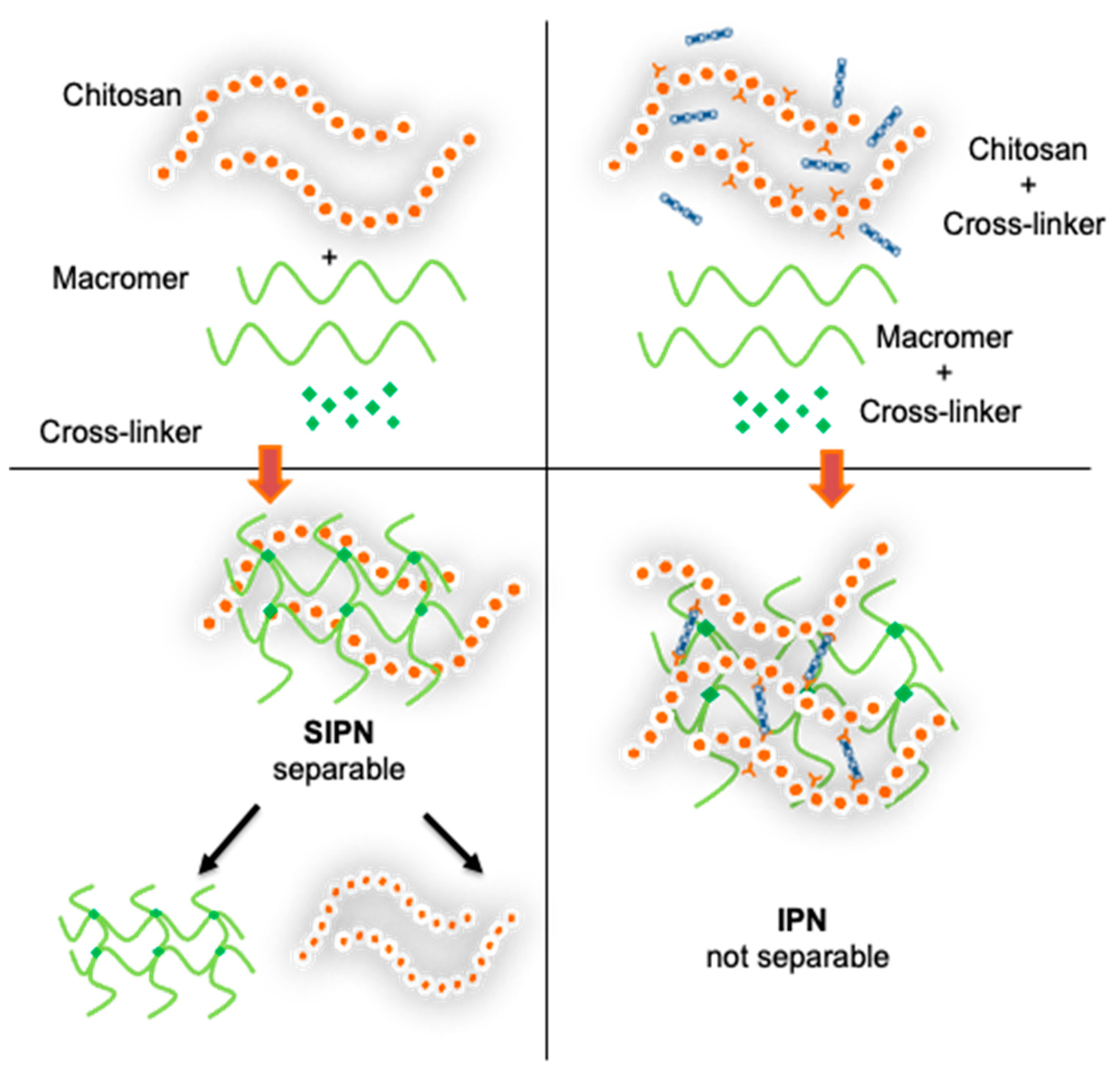 Marinedrugs 21 00147 sch007