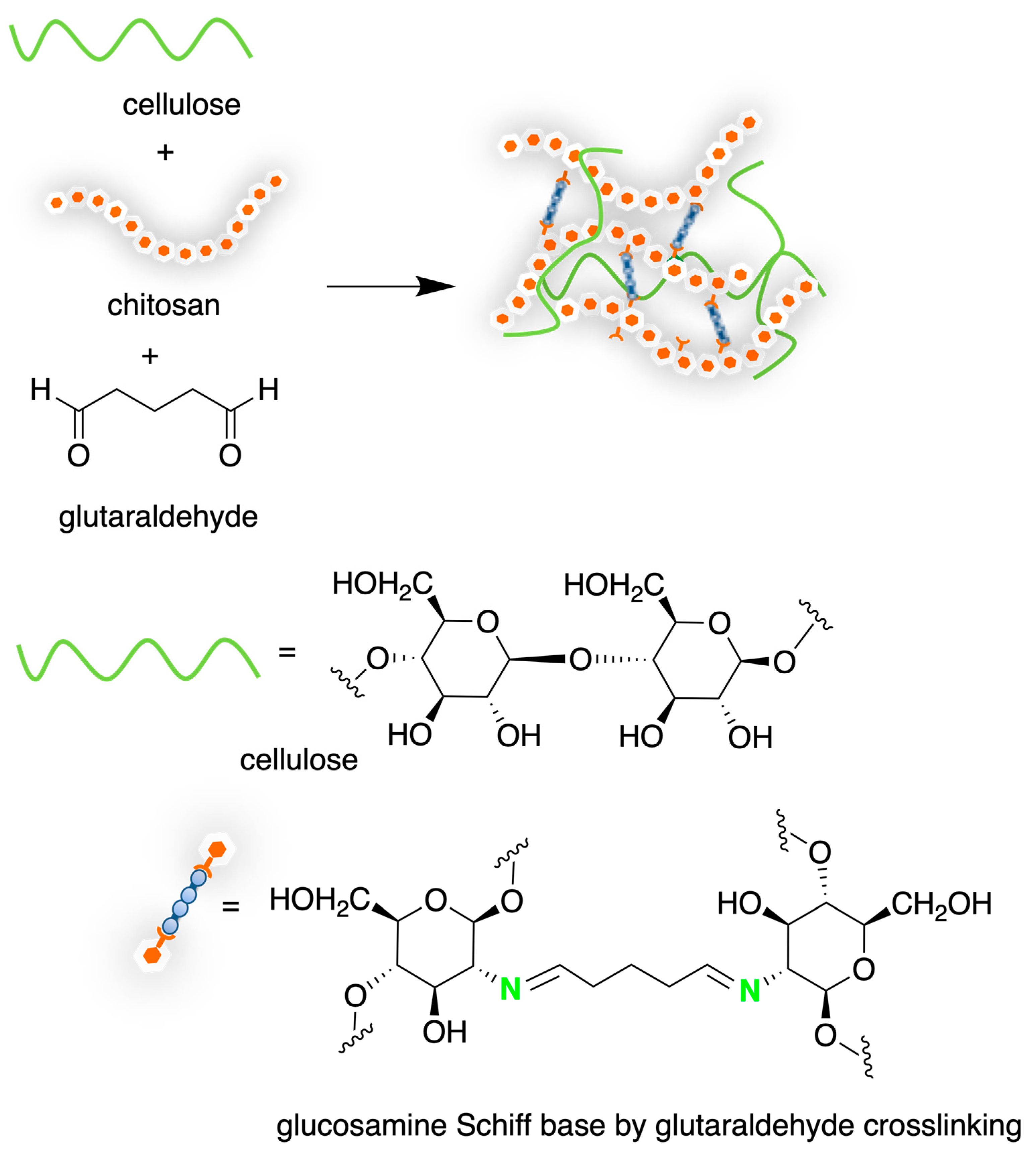 Marinedrugs 21 00147 sch009