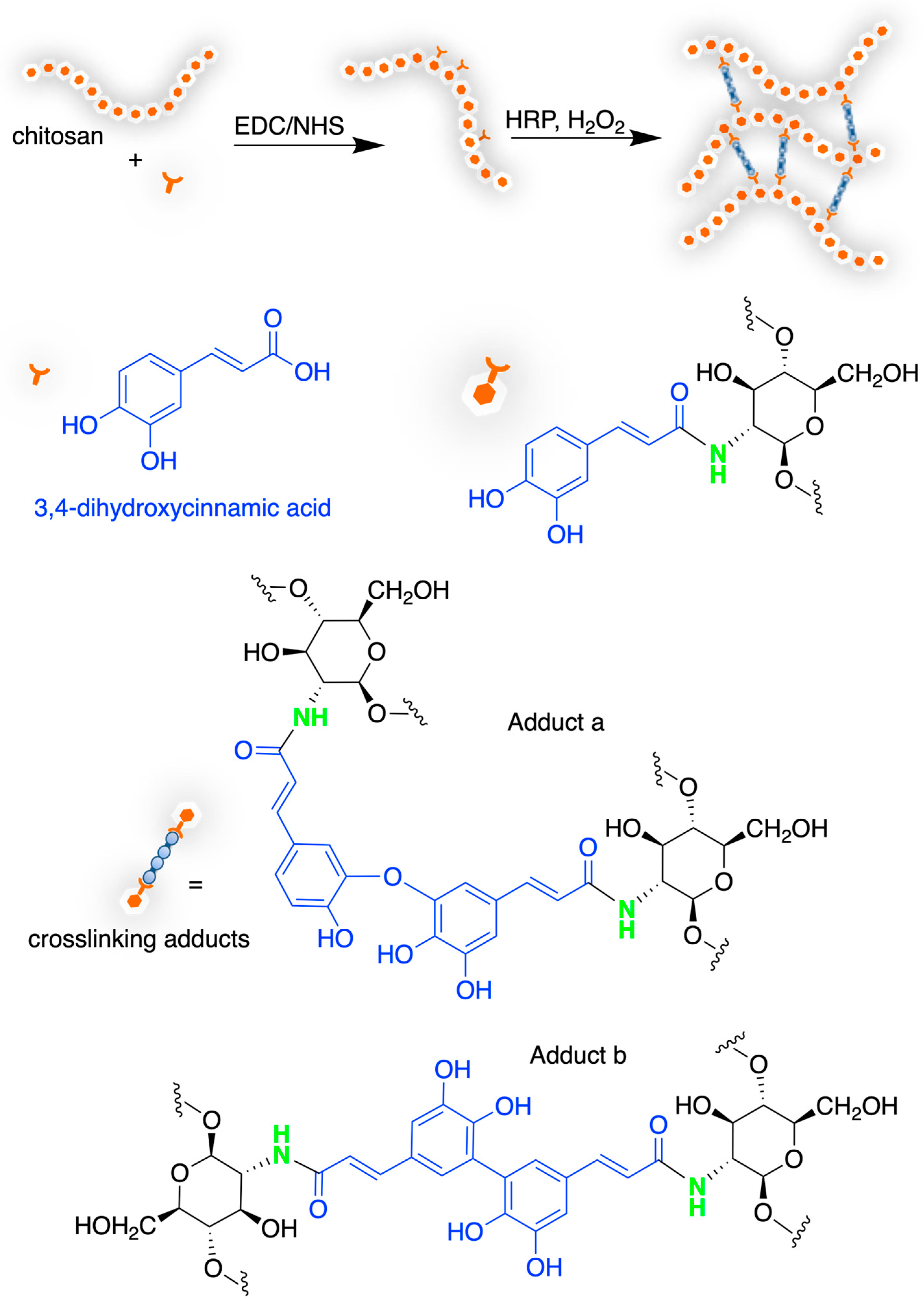Marinedrugs 21 00147 sch010
