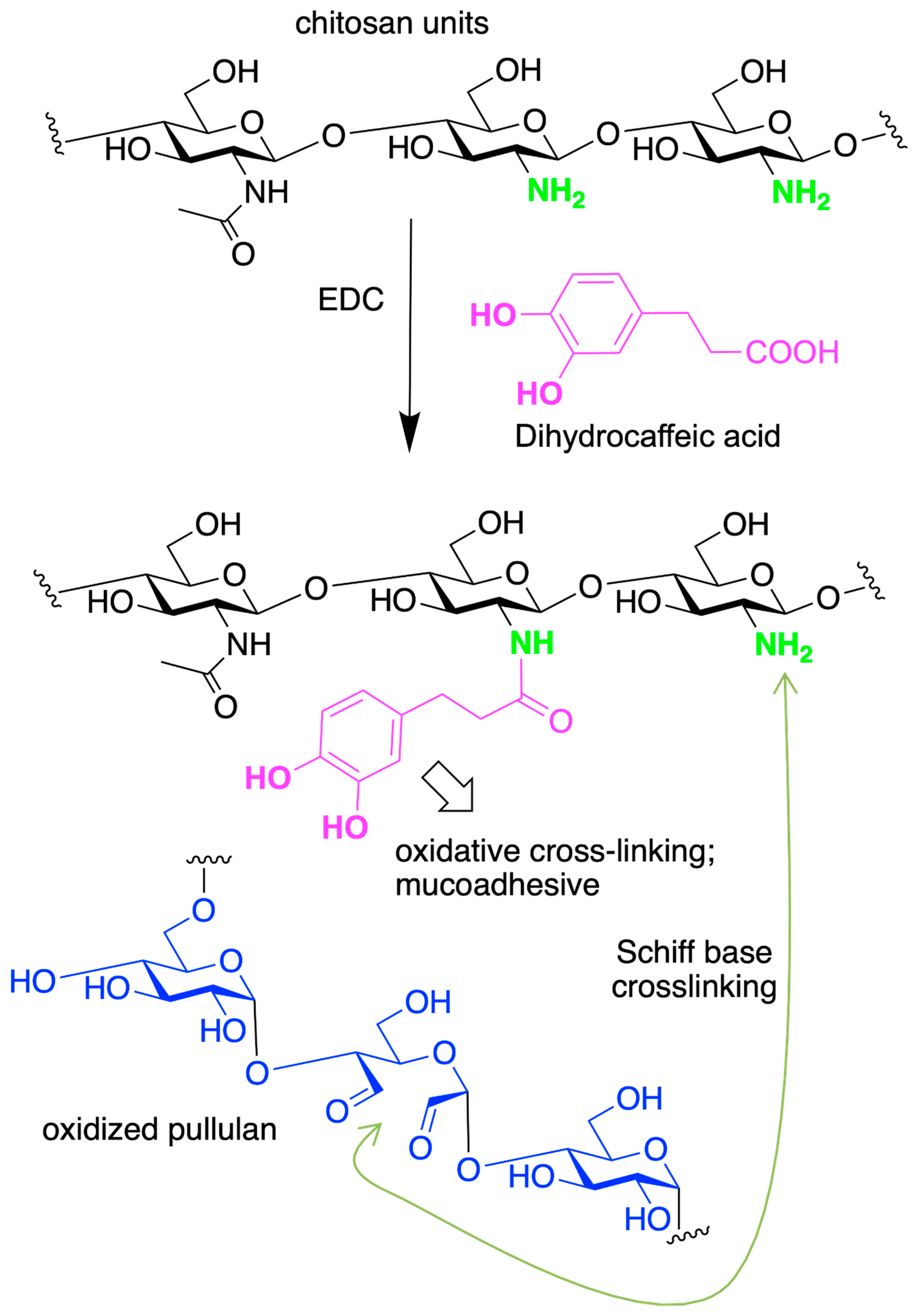 Marinedrugs 21 00147 sch011
