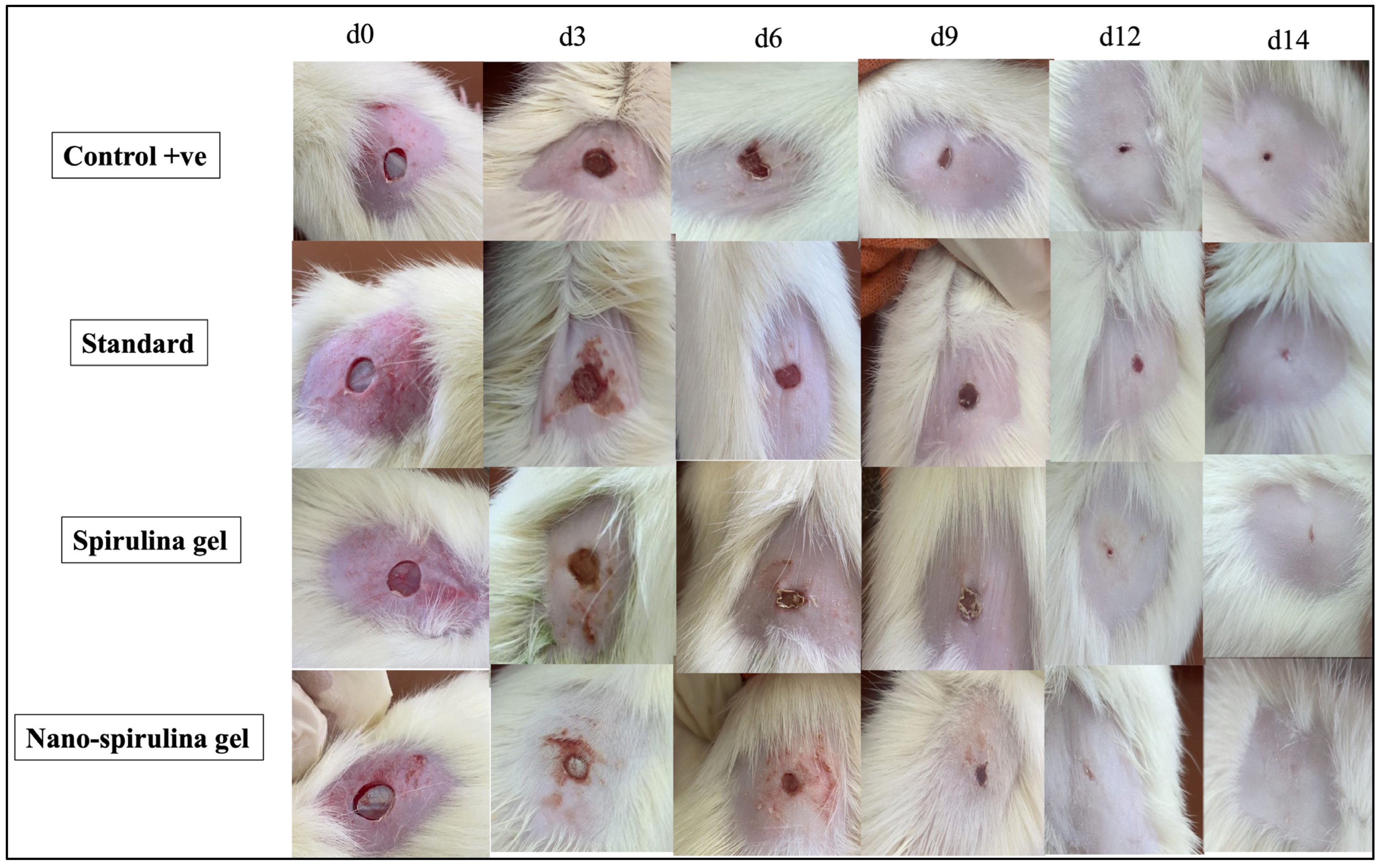 Marinedrugs 21 00149 g007