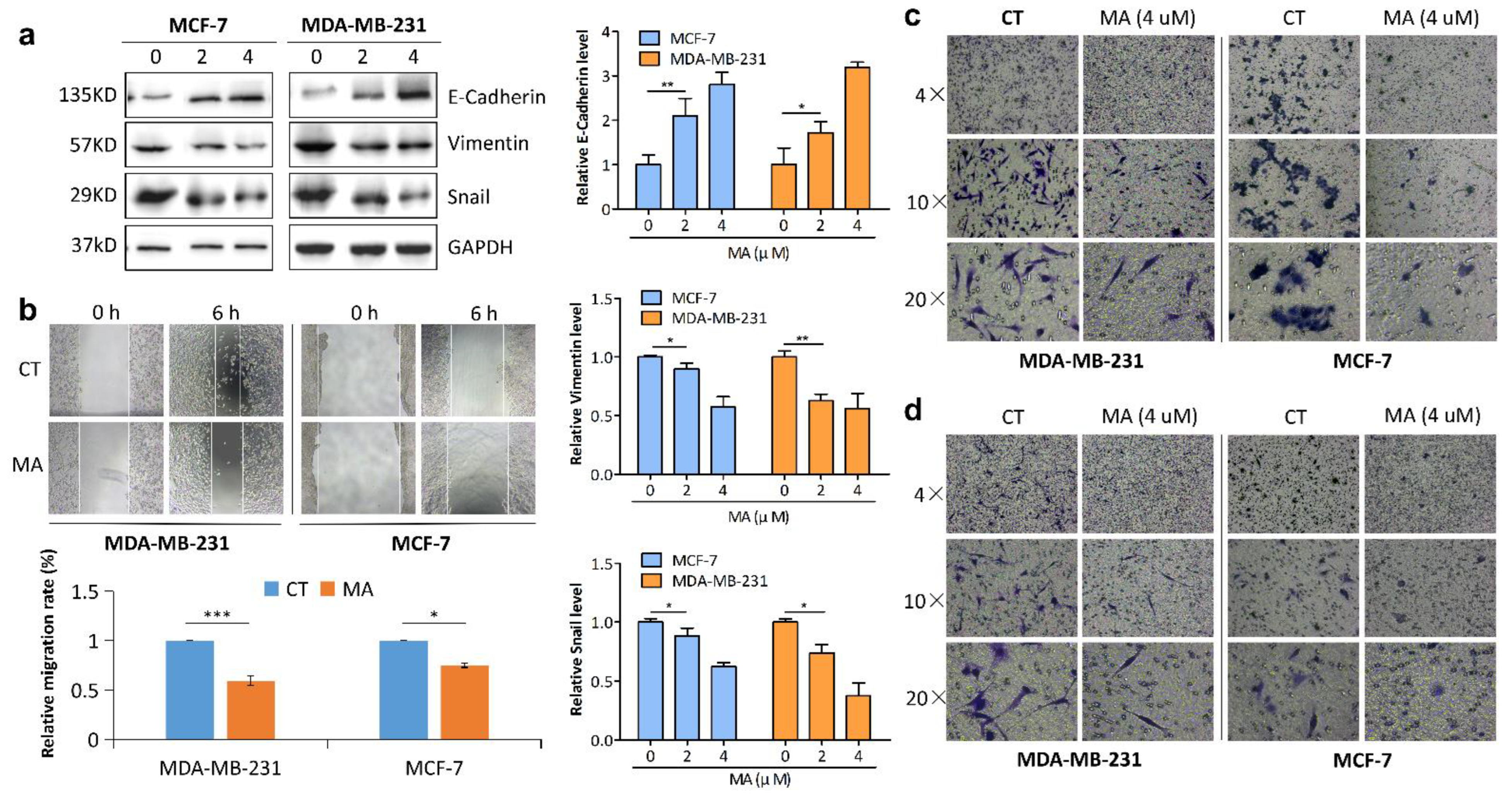 Marinedrugs 21 00151 g002