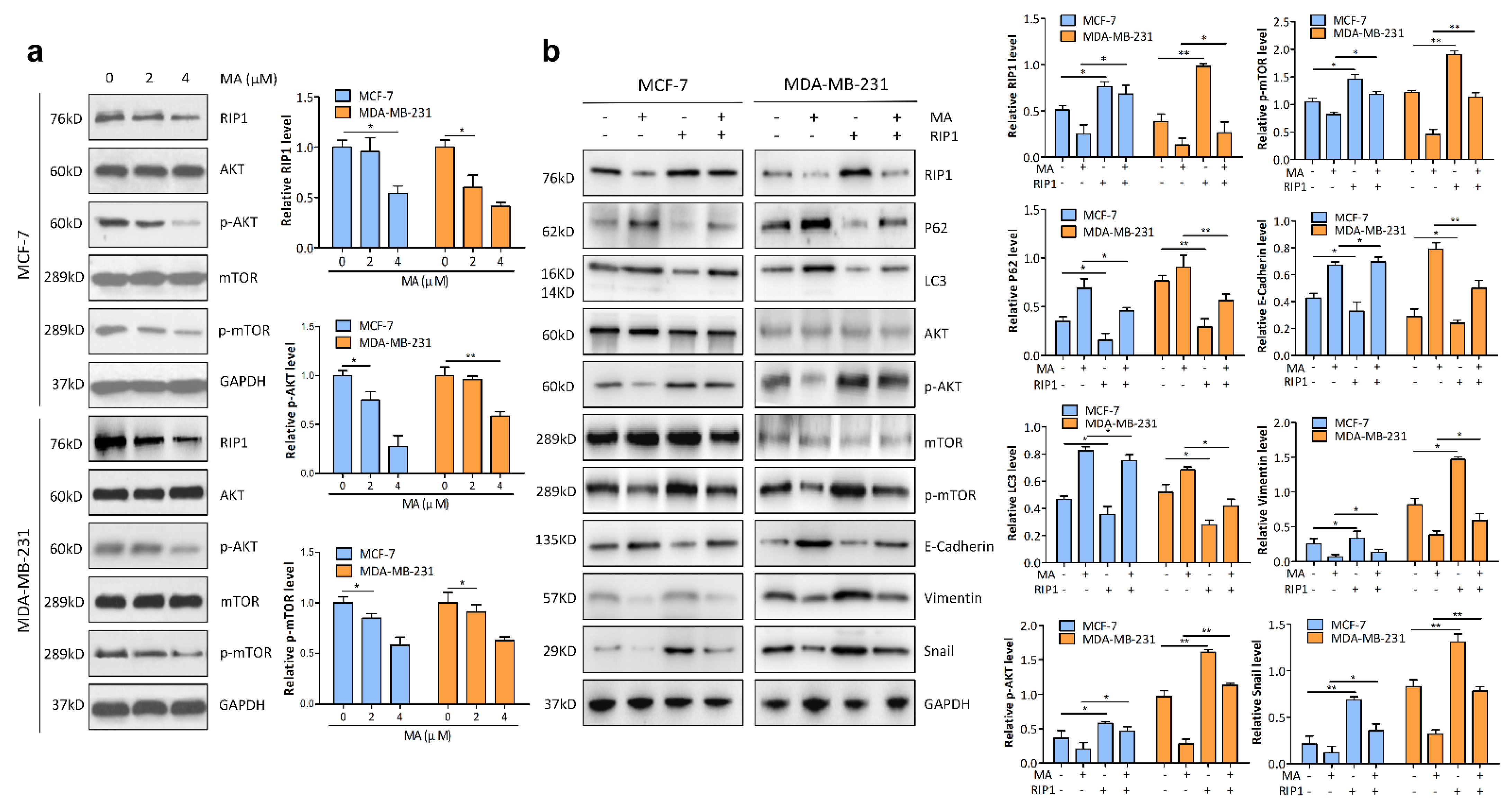 Marinedrugs 21 00151 g004