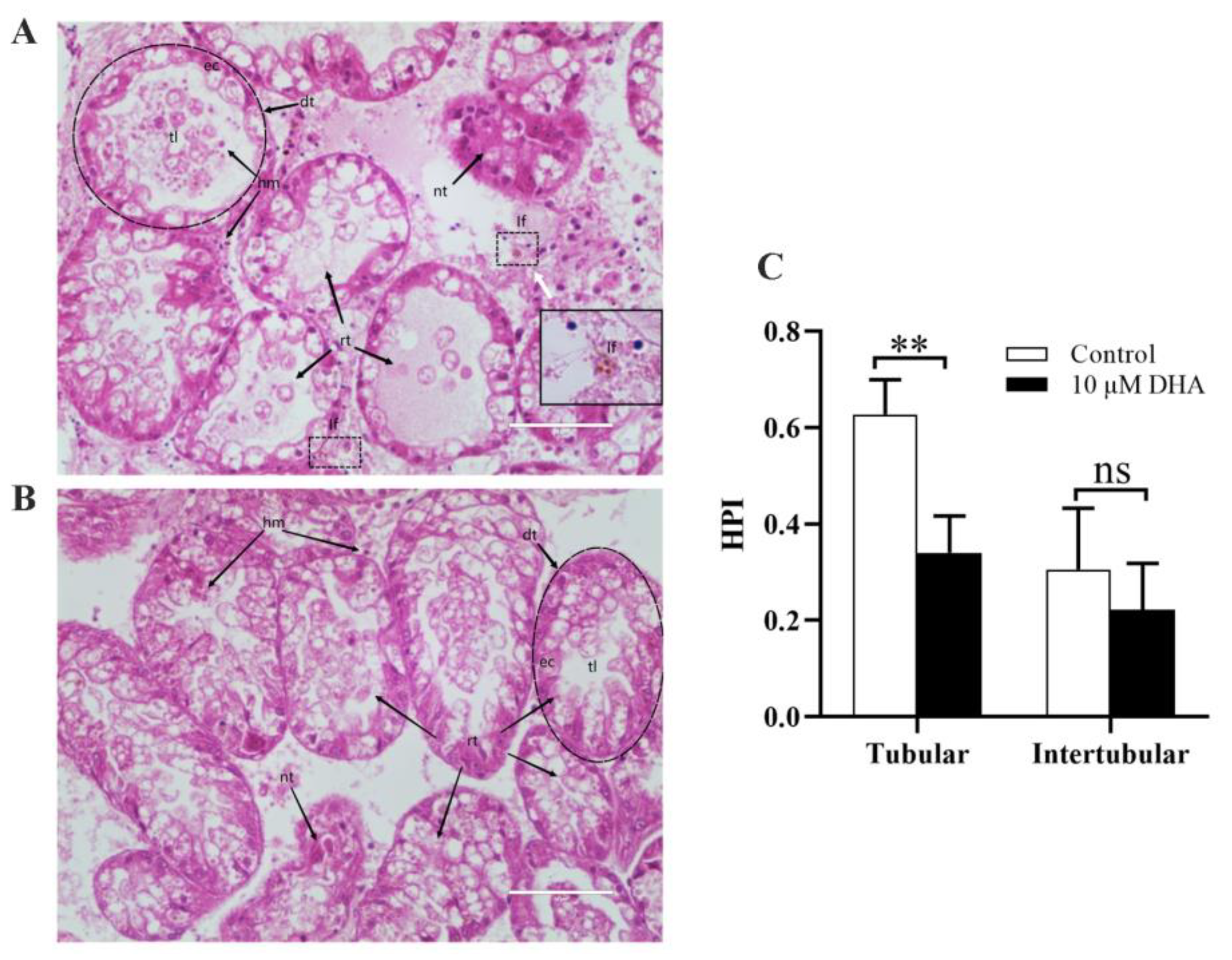 Marinedrugs 21 00155 g005