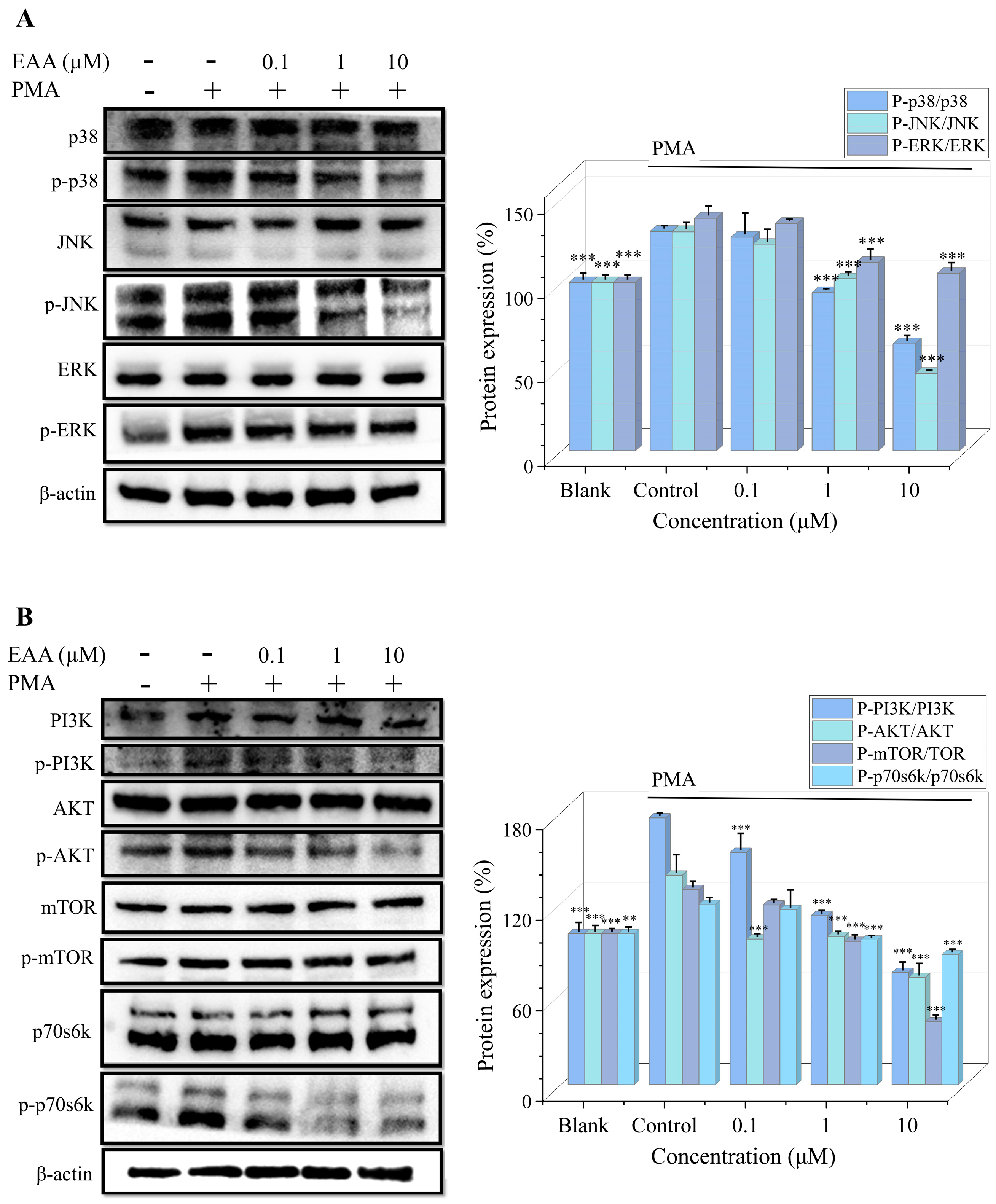 Marinedrugs 21 00156 g003
