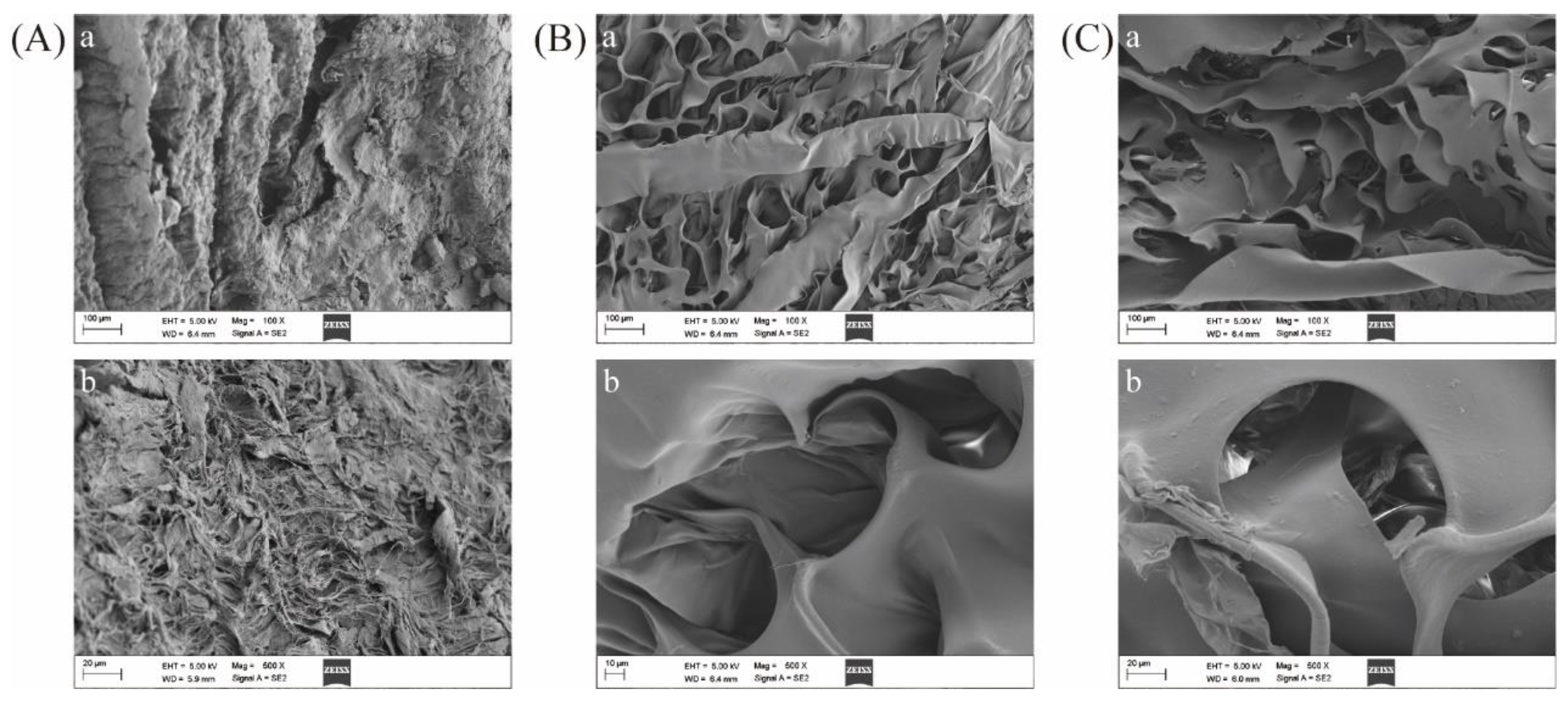 Marinedrugs 21 00159 g007